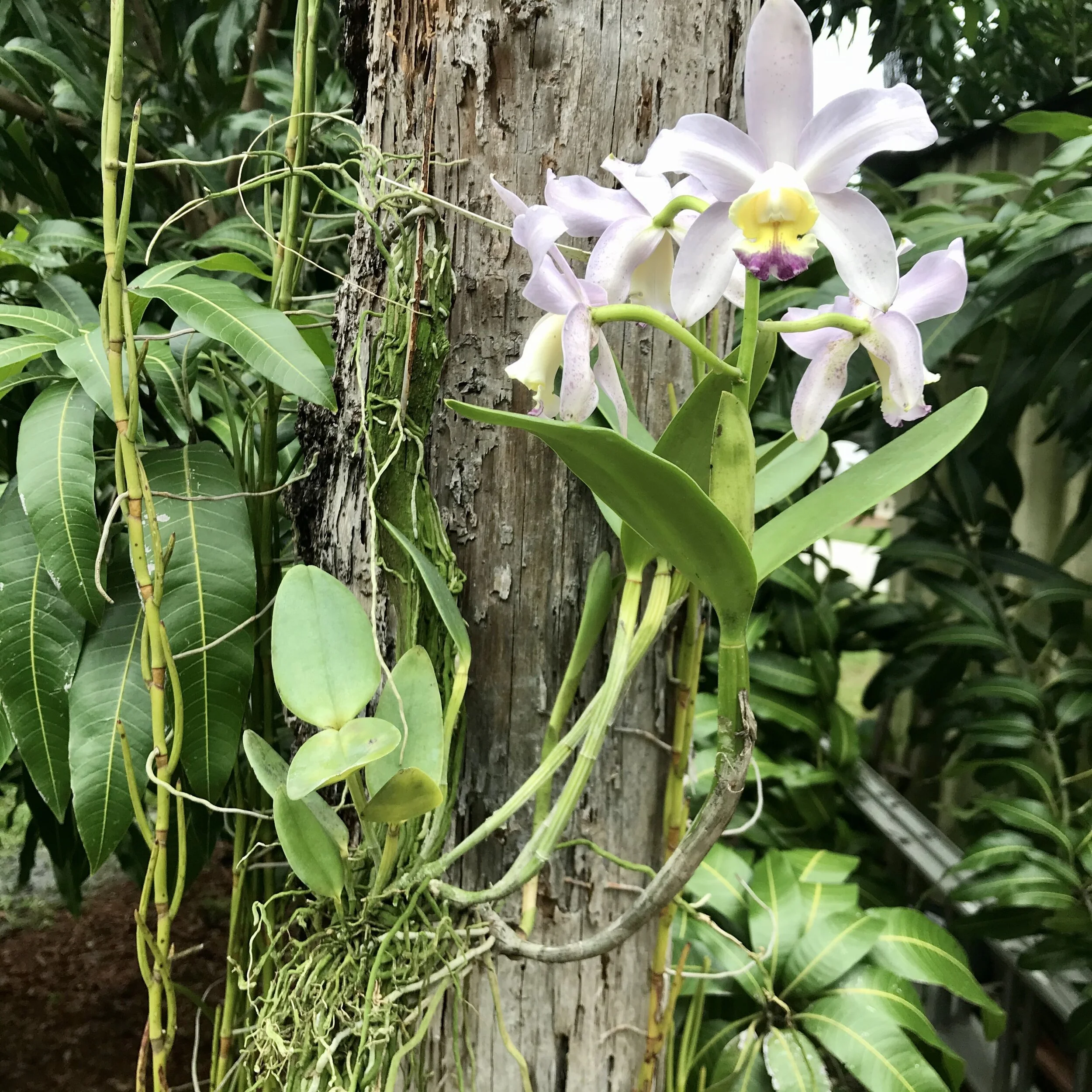 C80B3156-EF81-41E9-80F6-B97B10A7358B