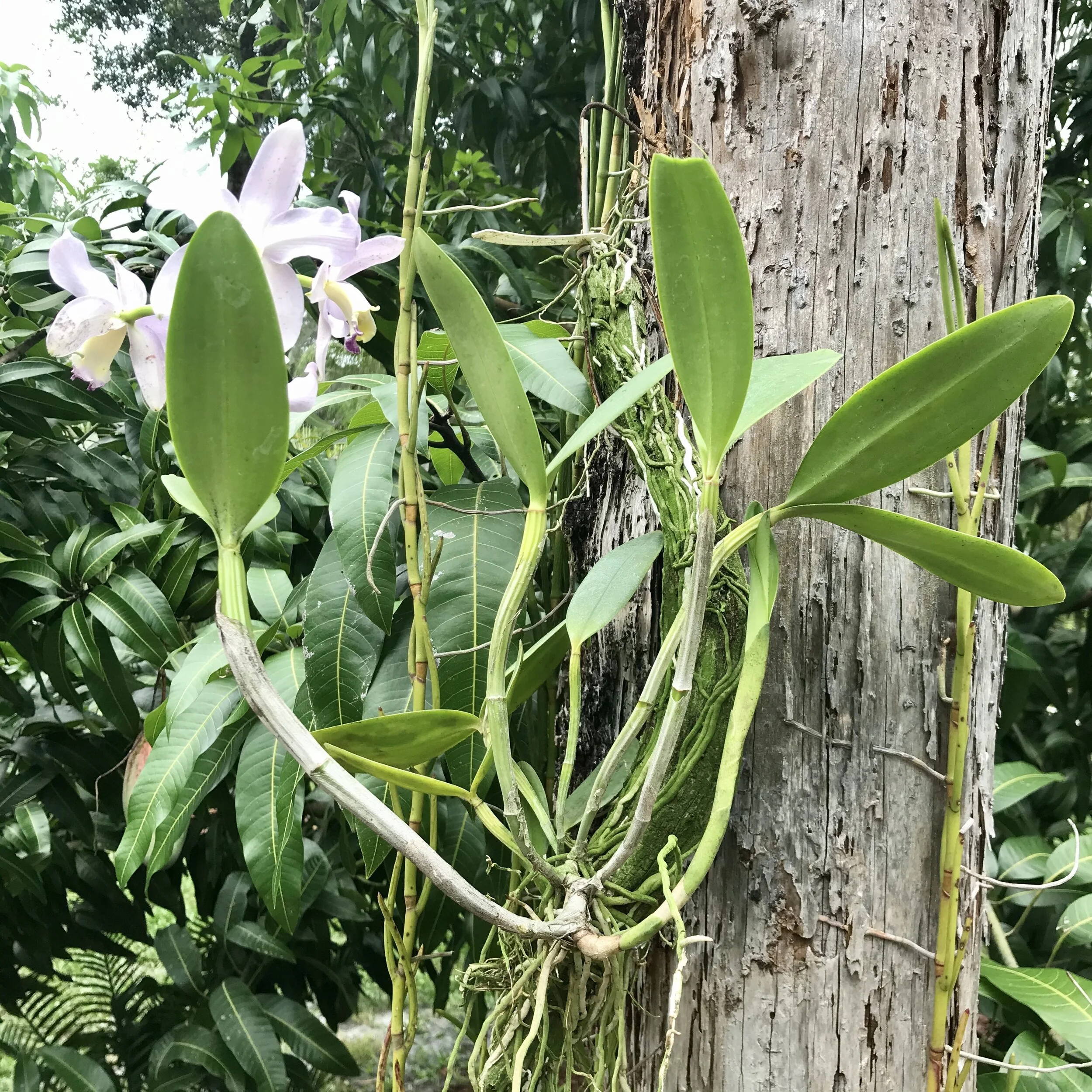 F2EAF30F-829E-4D0A-A006-3DCD2772AF40