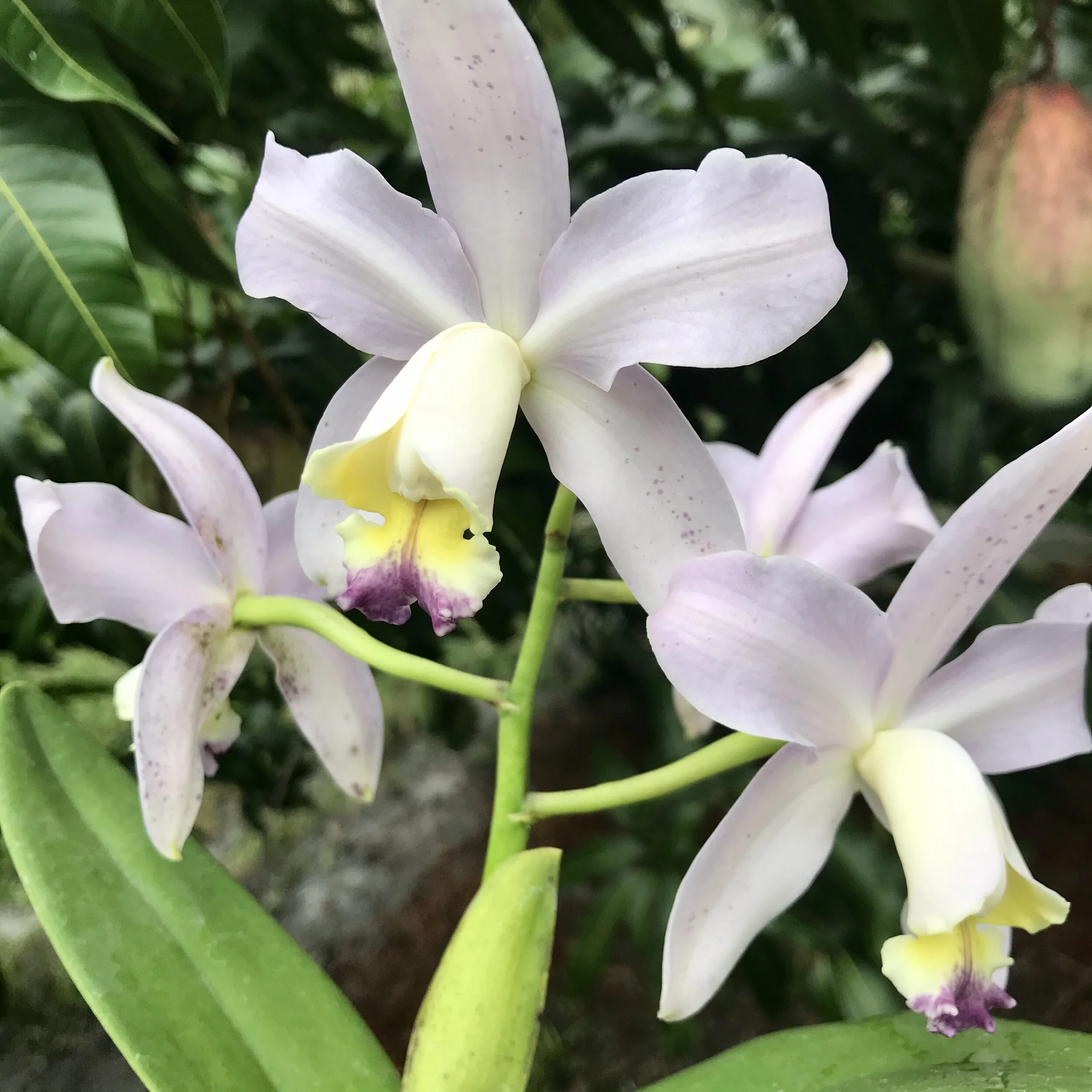 161A3146-765C-4515-AB7D-F7E87CC98E9E