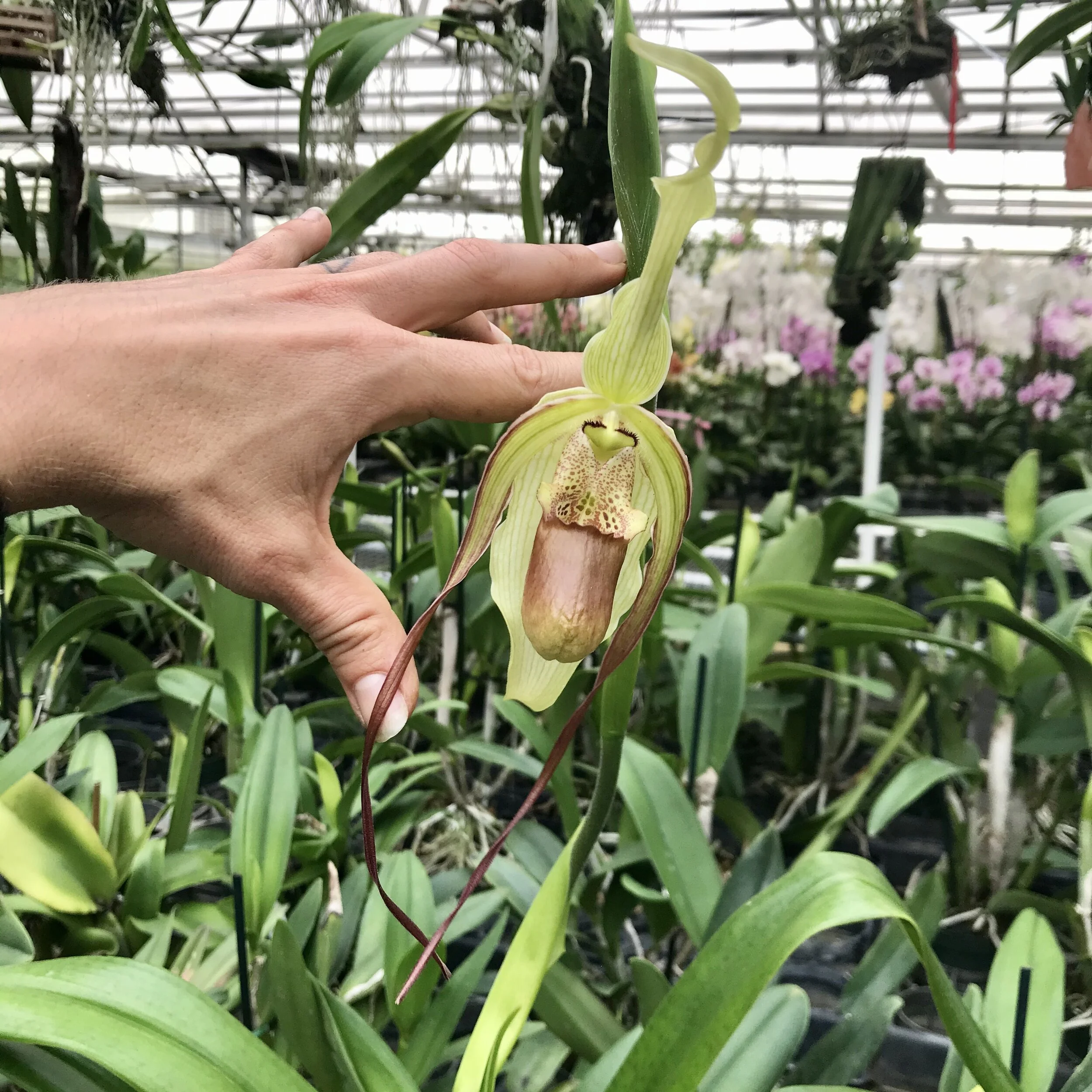 13B65676-BA1C-4010-8C7E-23FE10E03ACB