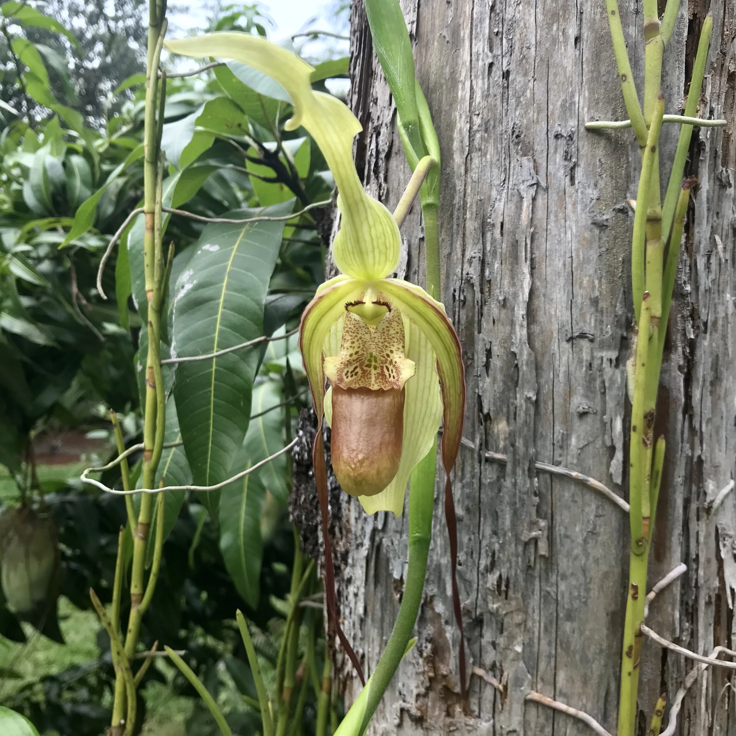 DBA25B7F-A5ED-4725-9781-85DC12AC6A31