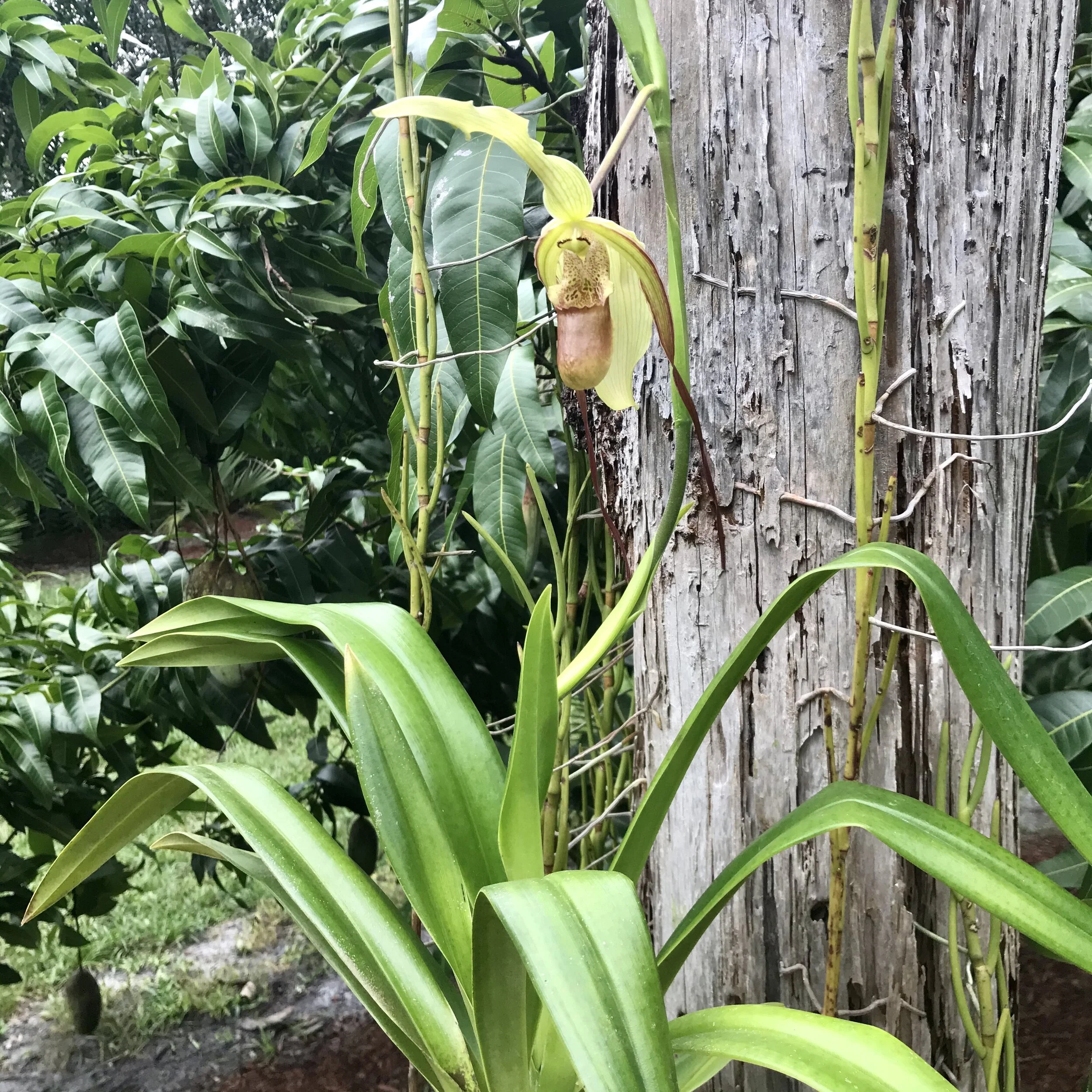 EEAF5F19-5476-485A-8DB2-82709A815867