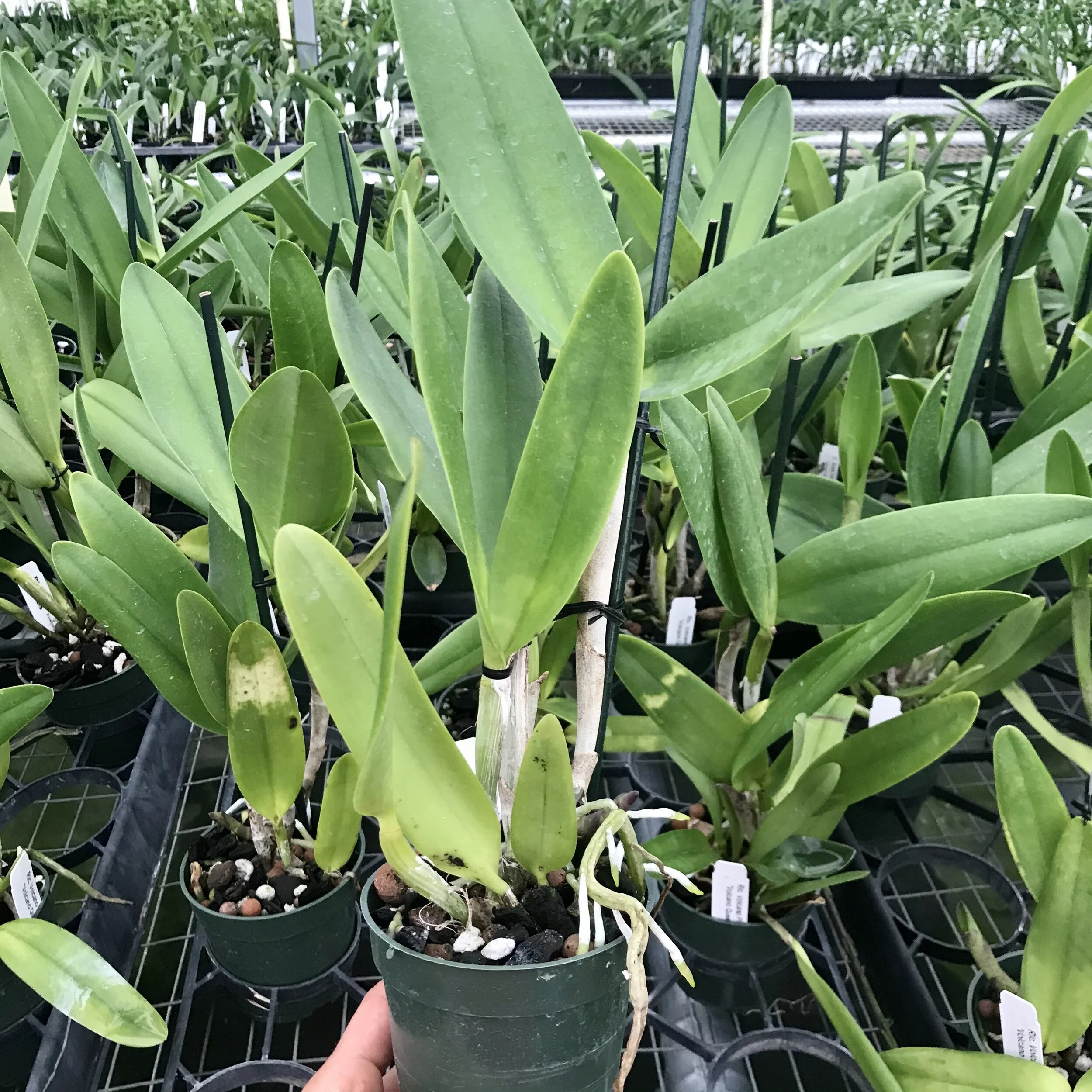 281DF468-85D7-4B04-8622-EF39CAA1B7C8