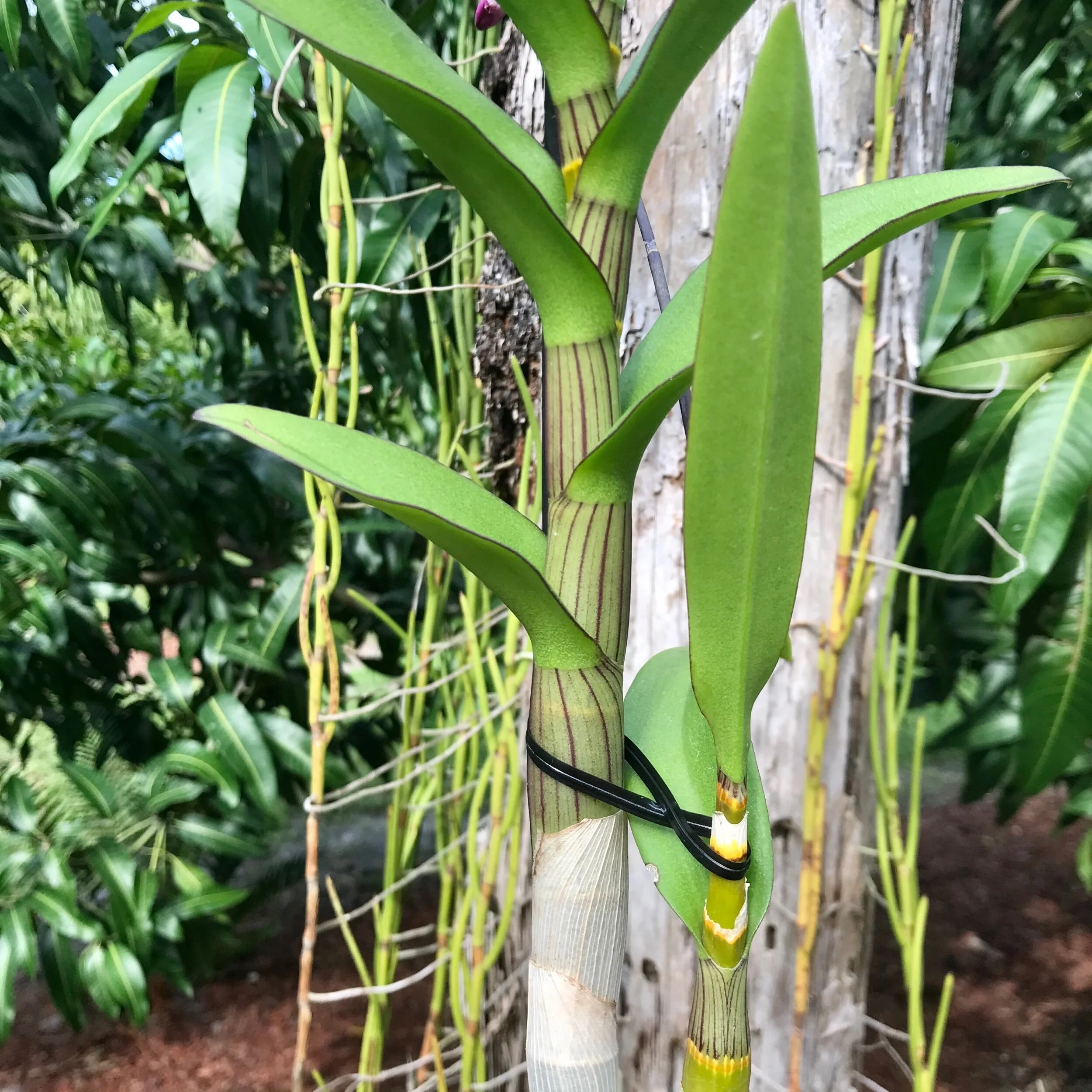 9A2A0969-421D-4F6F-825B-62C4E437262E