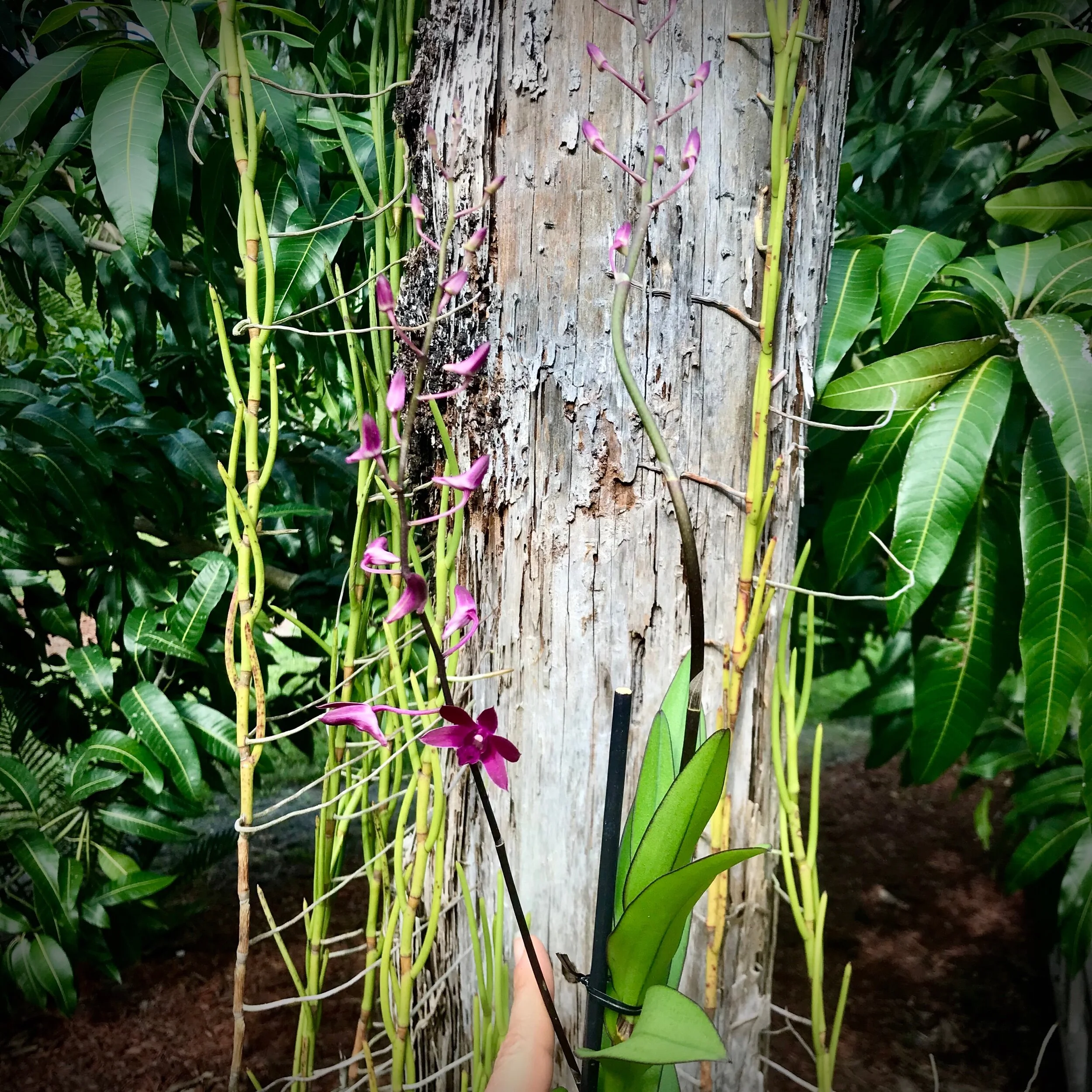 13C6FDCA-6902-41BB-B31C-DFF817D4C6C8