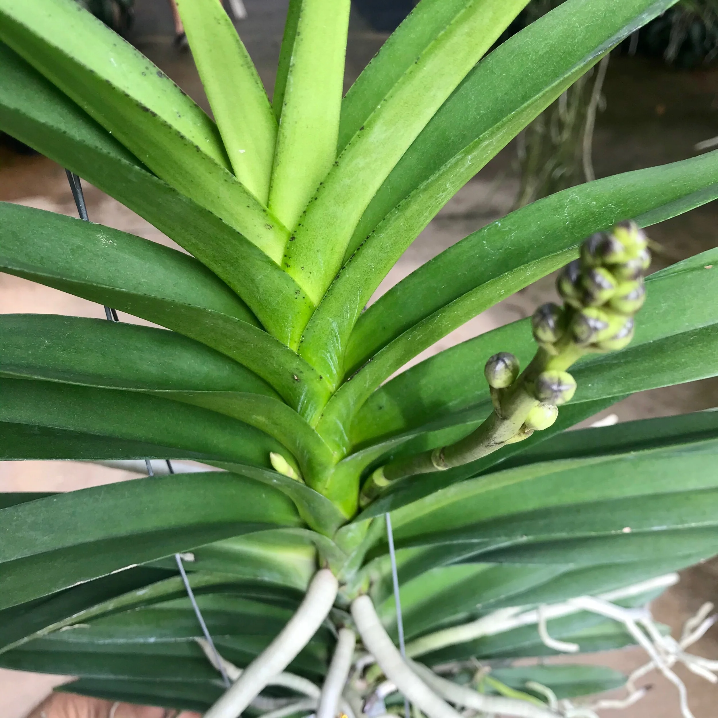 622830E6-ADA6-4BF6-8BC0-2DE096240EBE