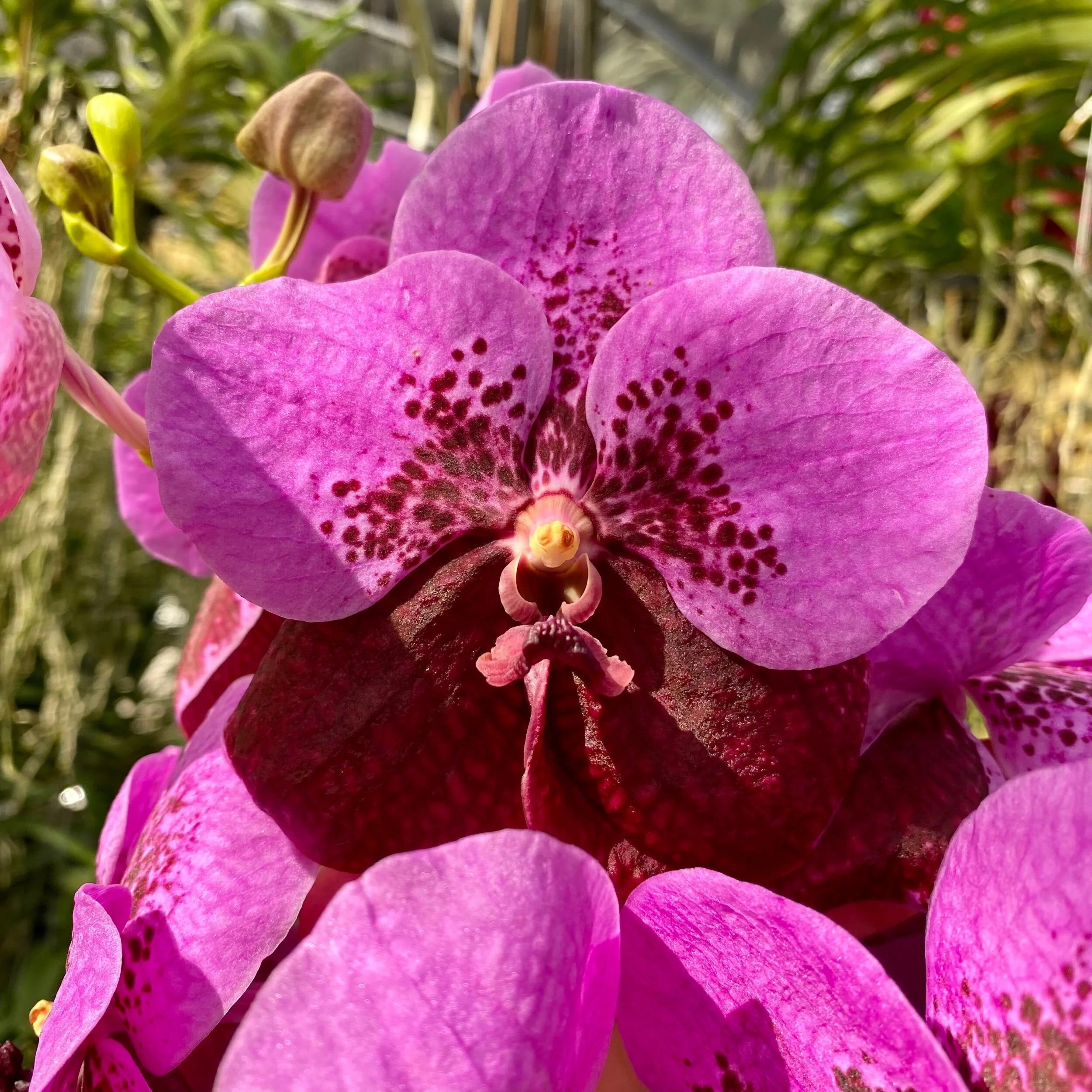 C17EE0C8-8458-4492-8EB1-3F2C682B0071