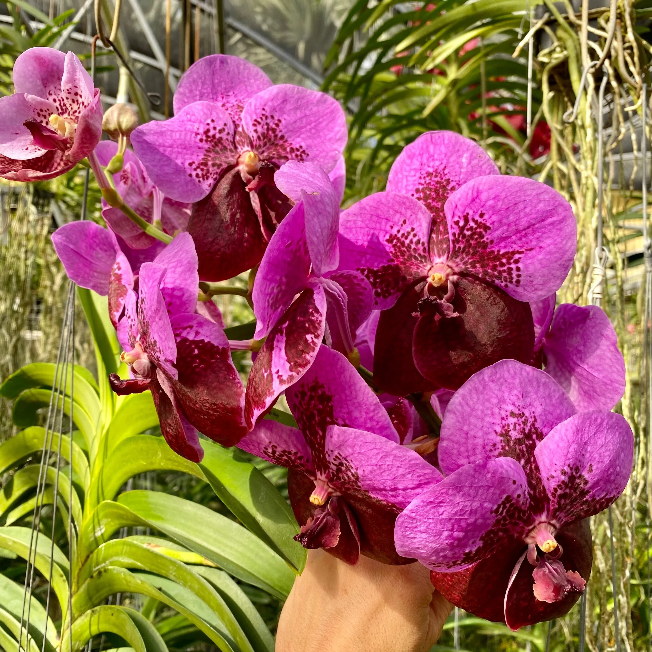 93BA8BF1-4907-4C93-BCCC-73714DA684A7