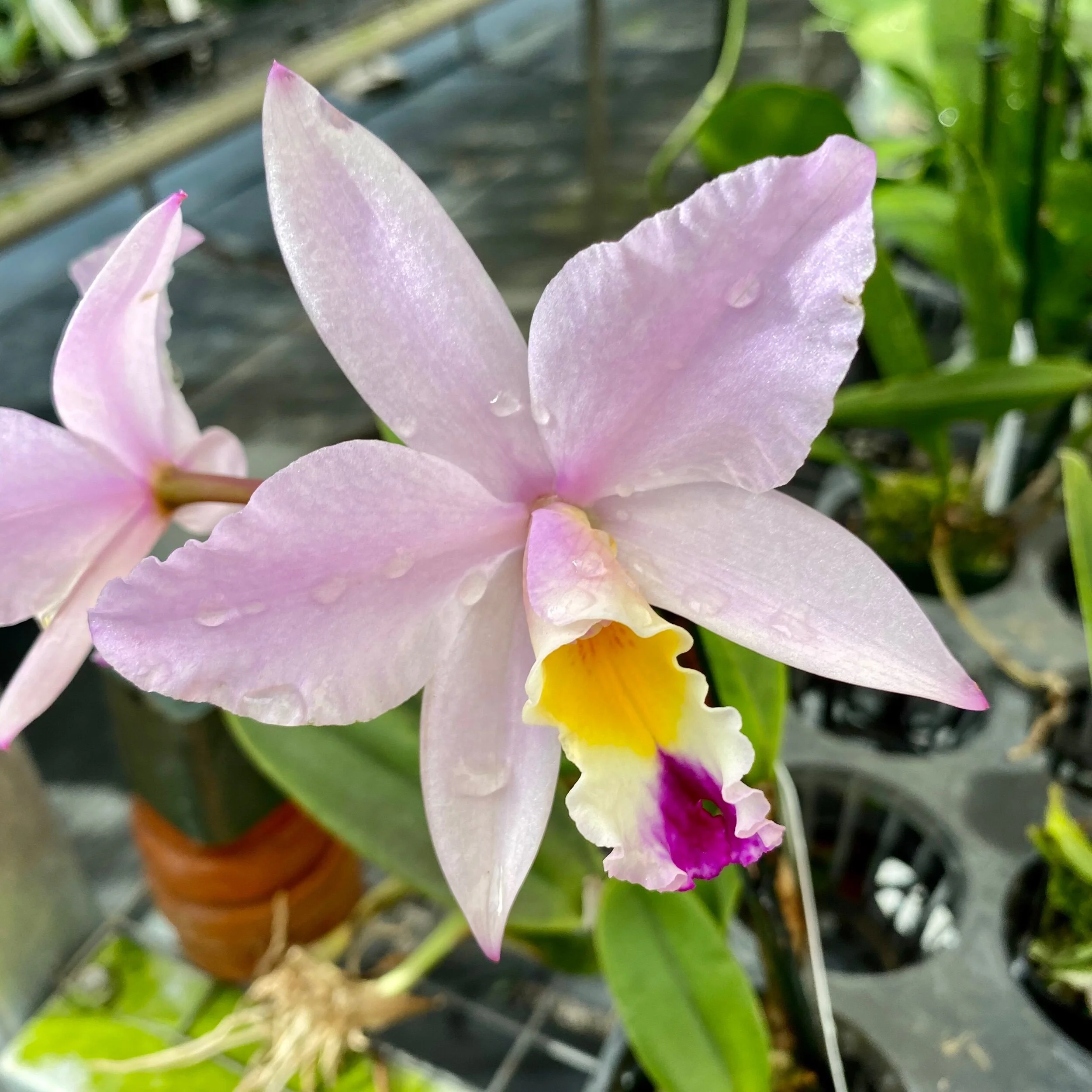 F09D2465-0BB6-4994-AA89-A25B068FCC26