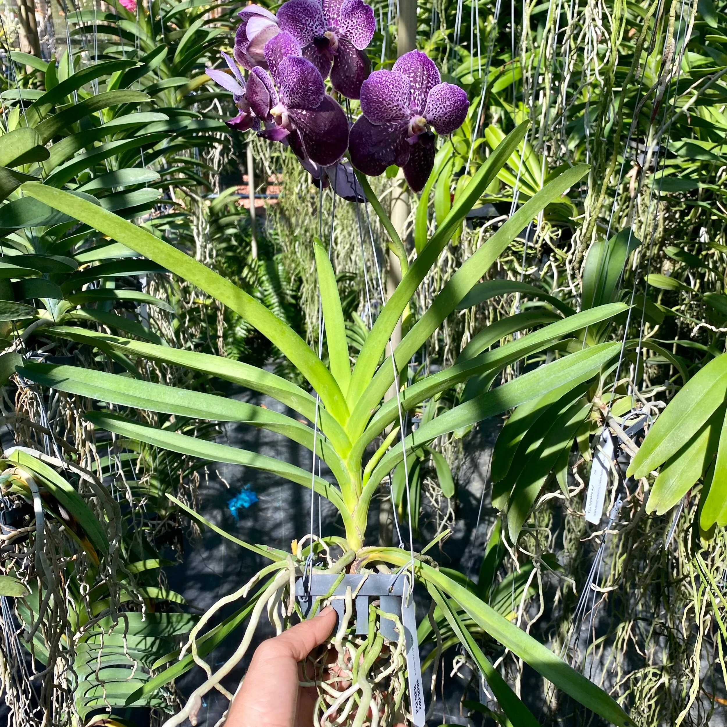 D5A7318A-9556-4A46-800C-5AE93960D28B