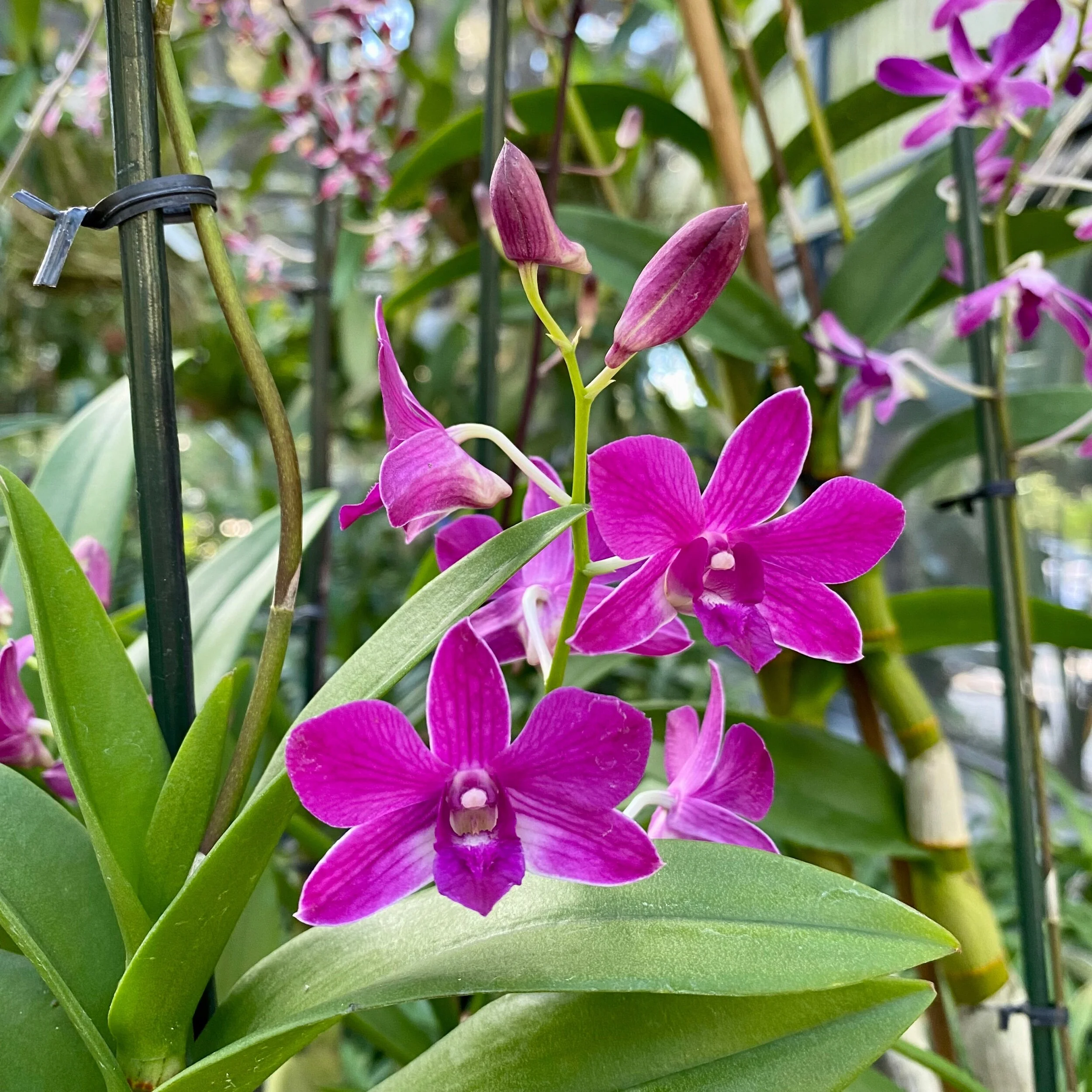 C5FD1B39-978E-4020-8240-6DAF2422B2FC