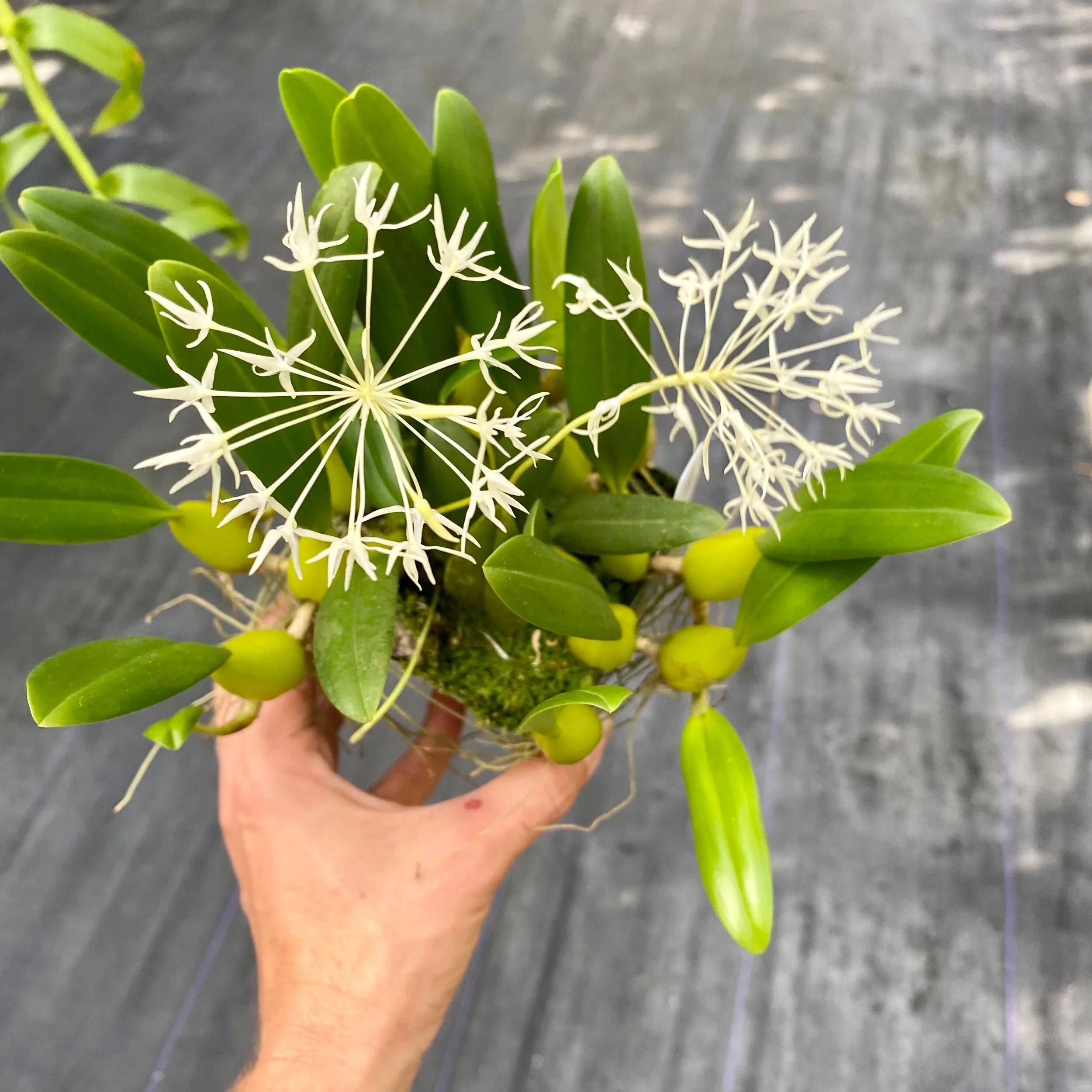 F5A485FE-9E41-435B-A843-1CB60D18BEC7