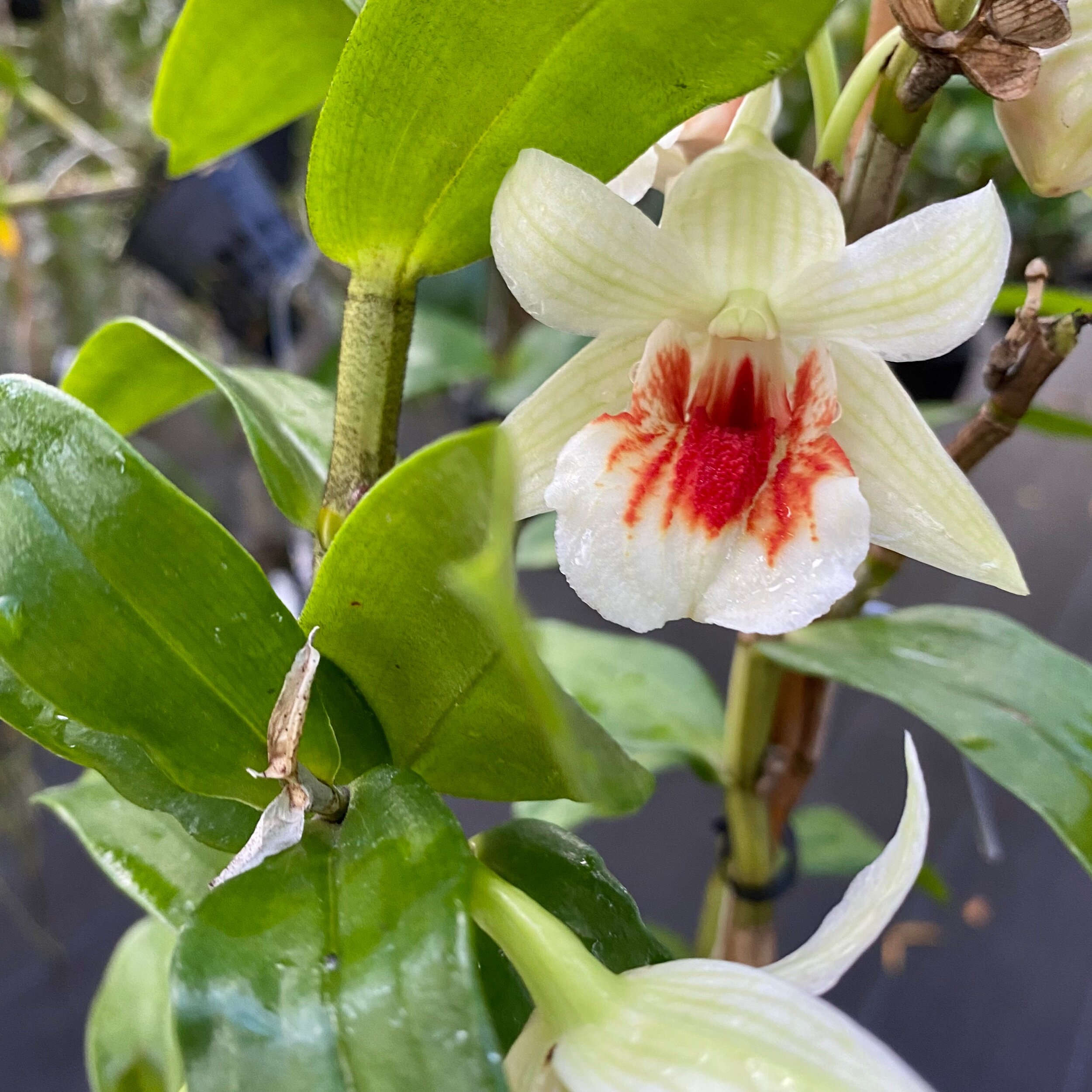 B6D18496-8B80-45B4-81B7-036CE7413ACE