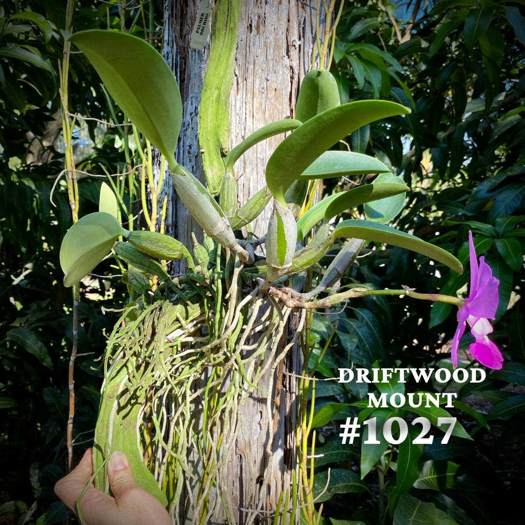 A401BB9A-A69B-4014-9942-C053A87E6C34