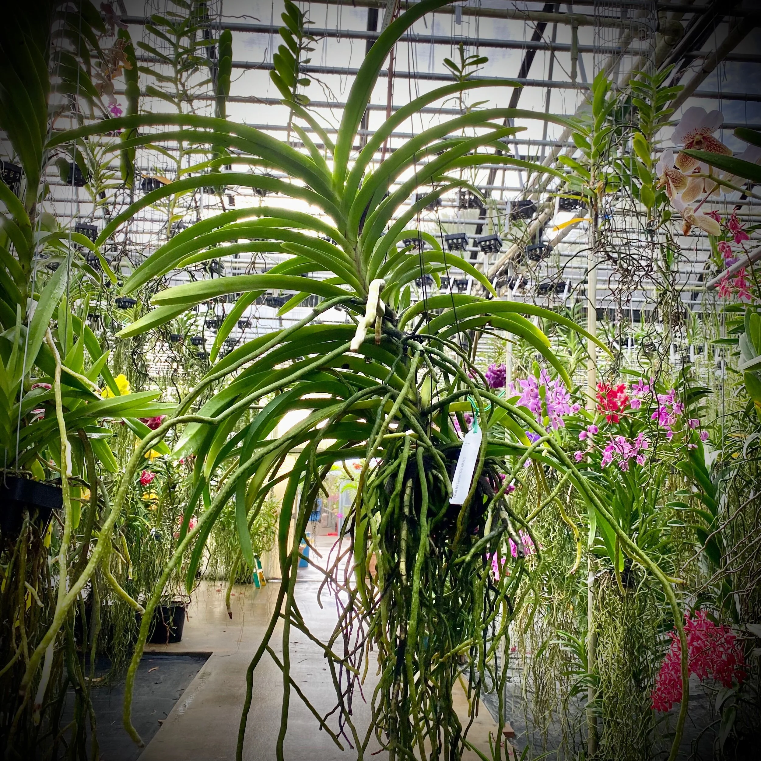 2C9AD7CB-A868-4ADB-A9DD-ACAD2F9950CB