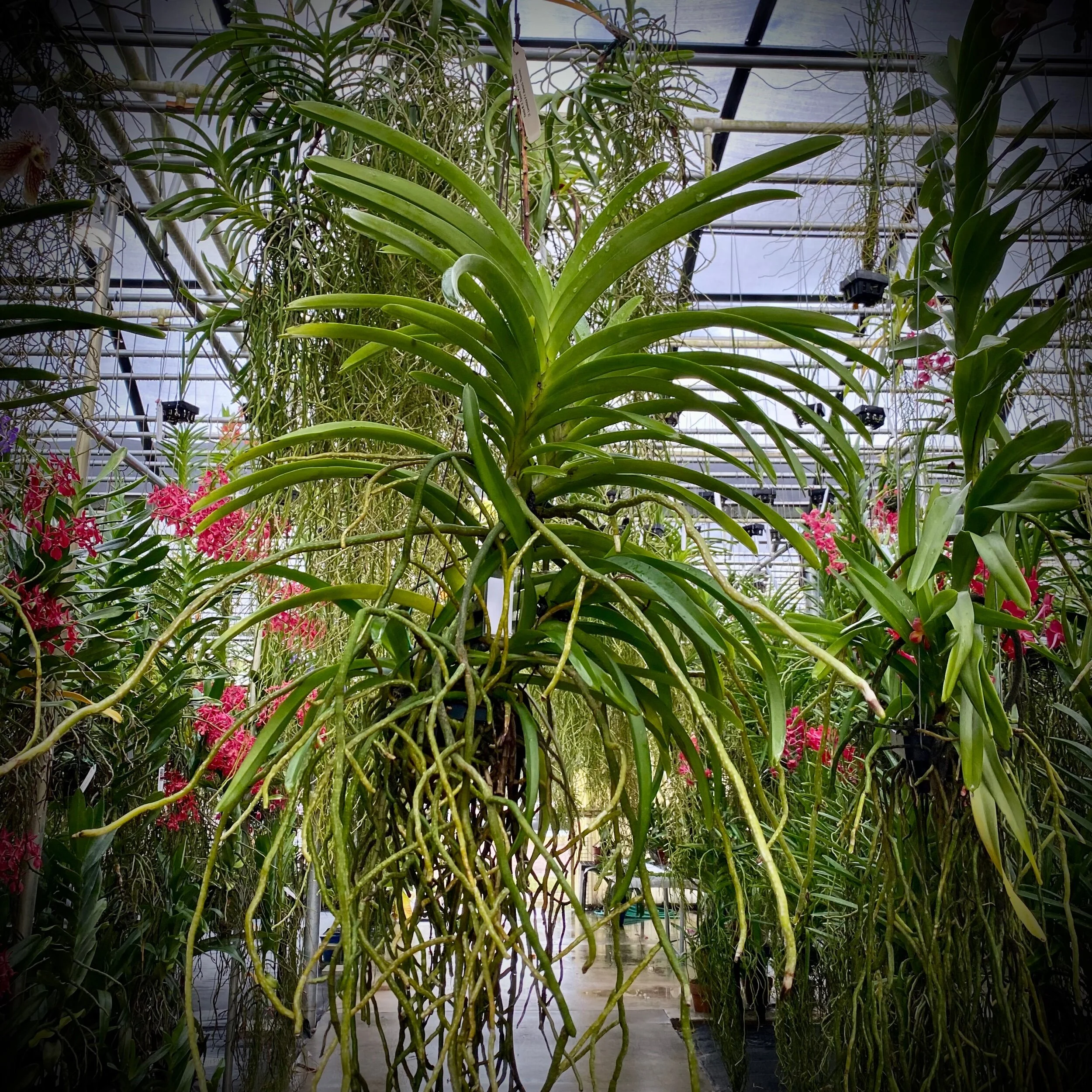 FDA7F4AC-FDE2-4EBE-B7FE-FCD4AA4093C1