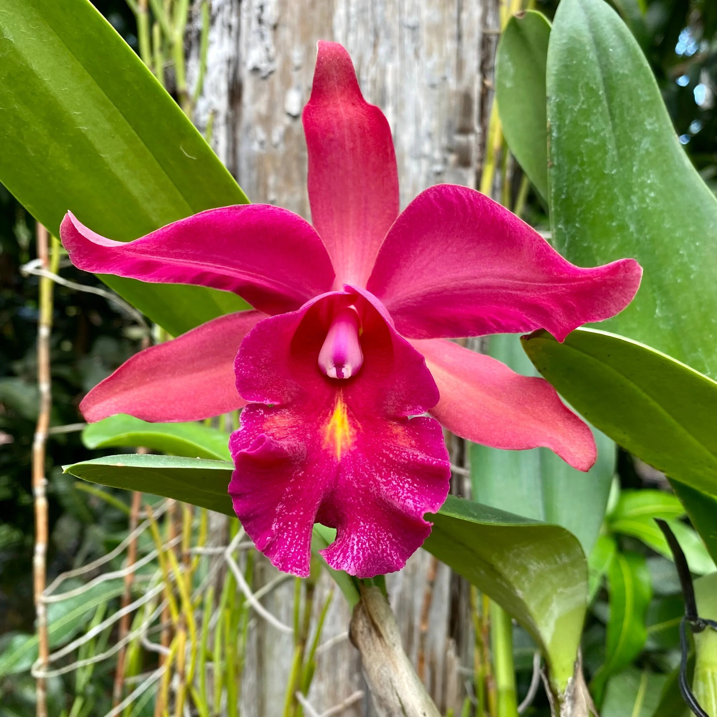 9CDEFEC8-61D8-48F3-9E17-A90E124477BC