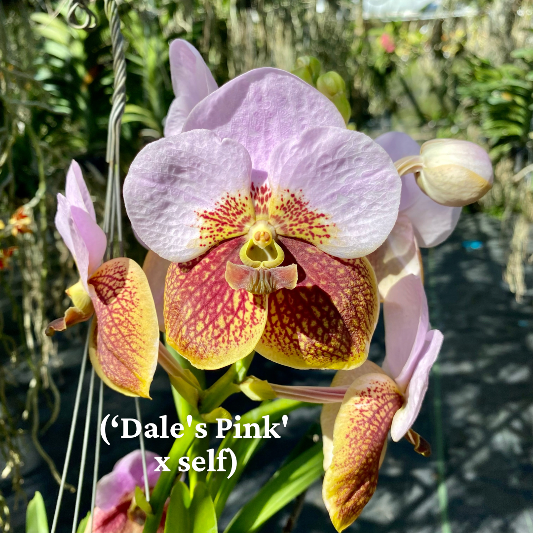 5C4E1942-7123-4FE1-B9A9-908CD7071007