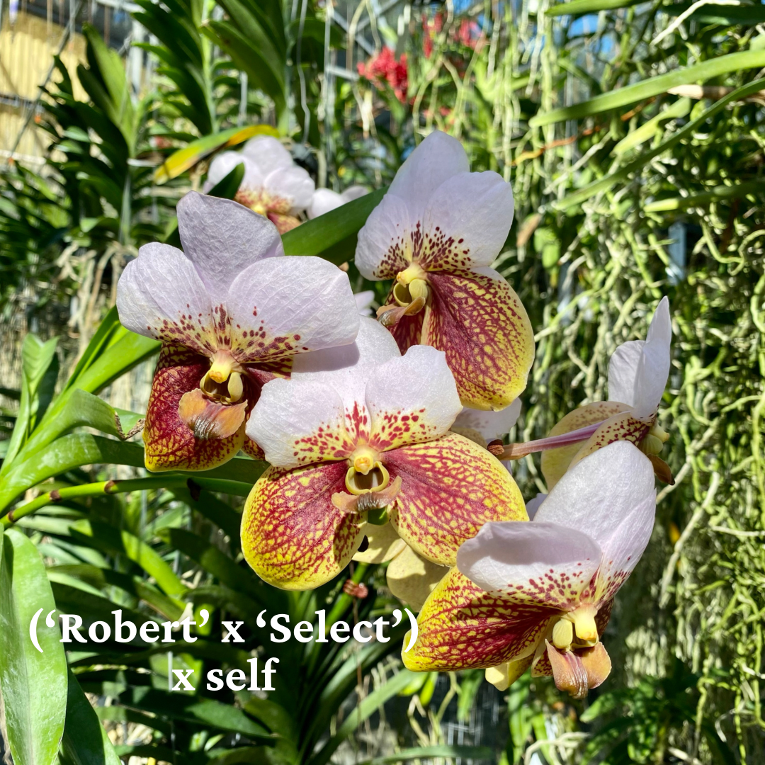 9D1018C1-587C-4929-8FCF-46409ECC51EF