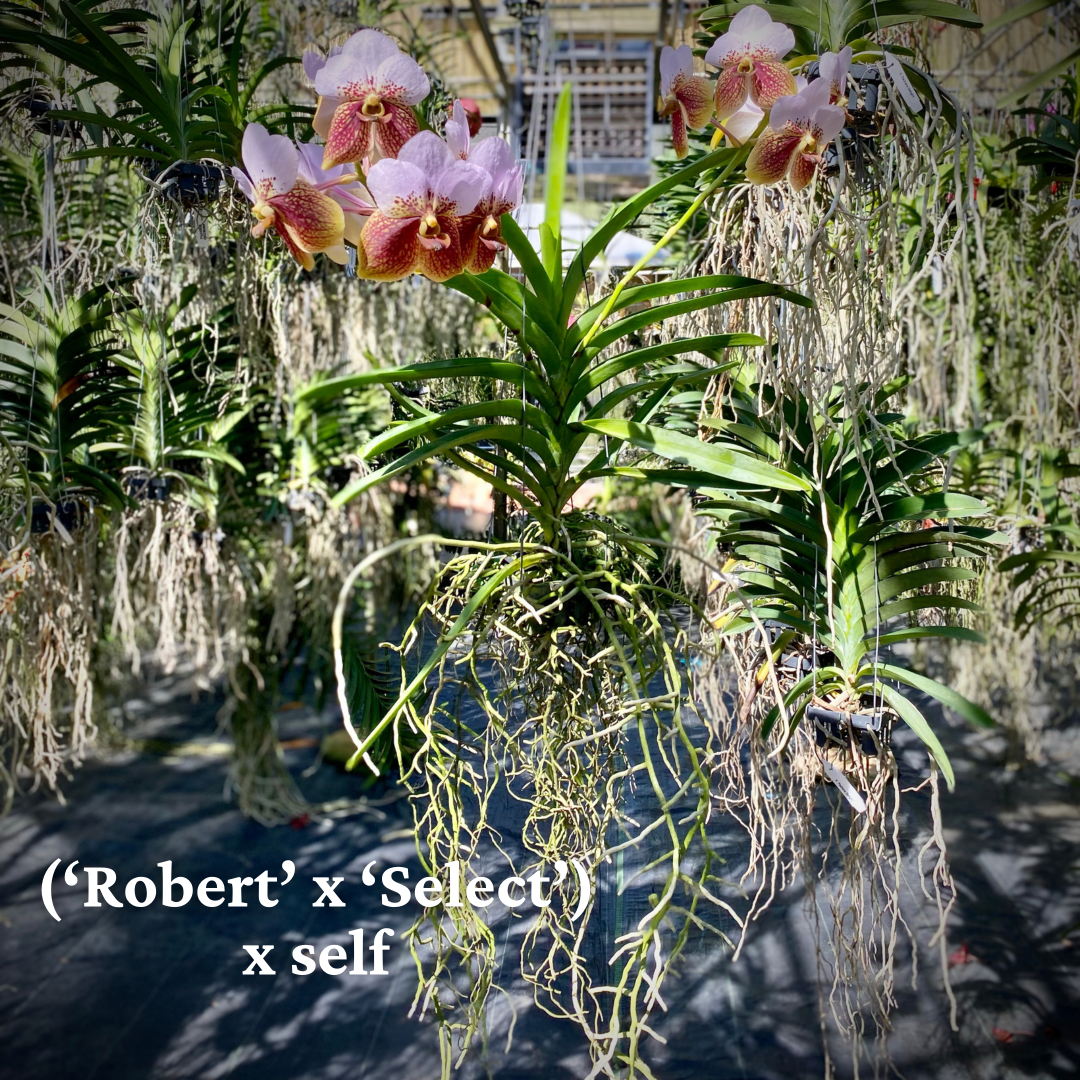 98440098-4158-49F7-A5D4-60FA9F189FB3