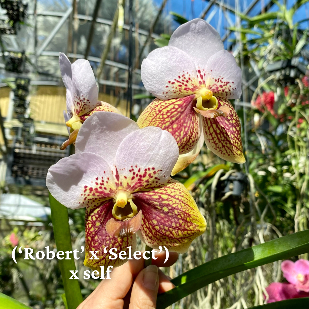 727C967E-CB6A-4676-8B20-C0C5FD0C52E1