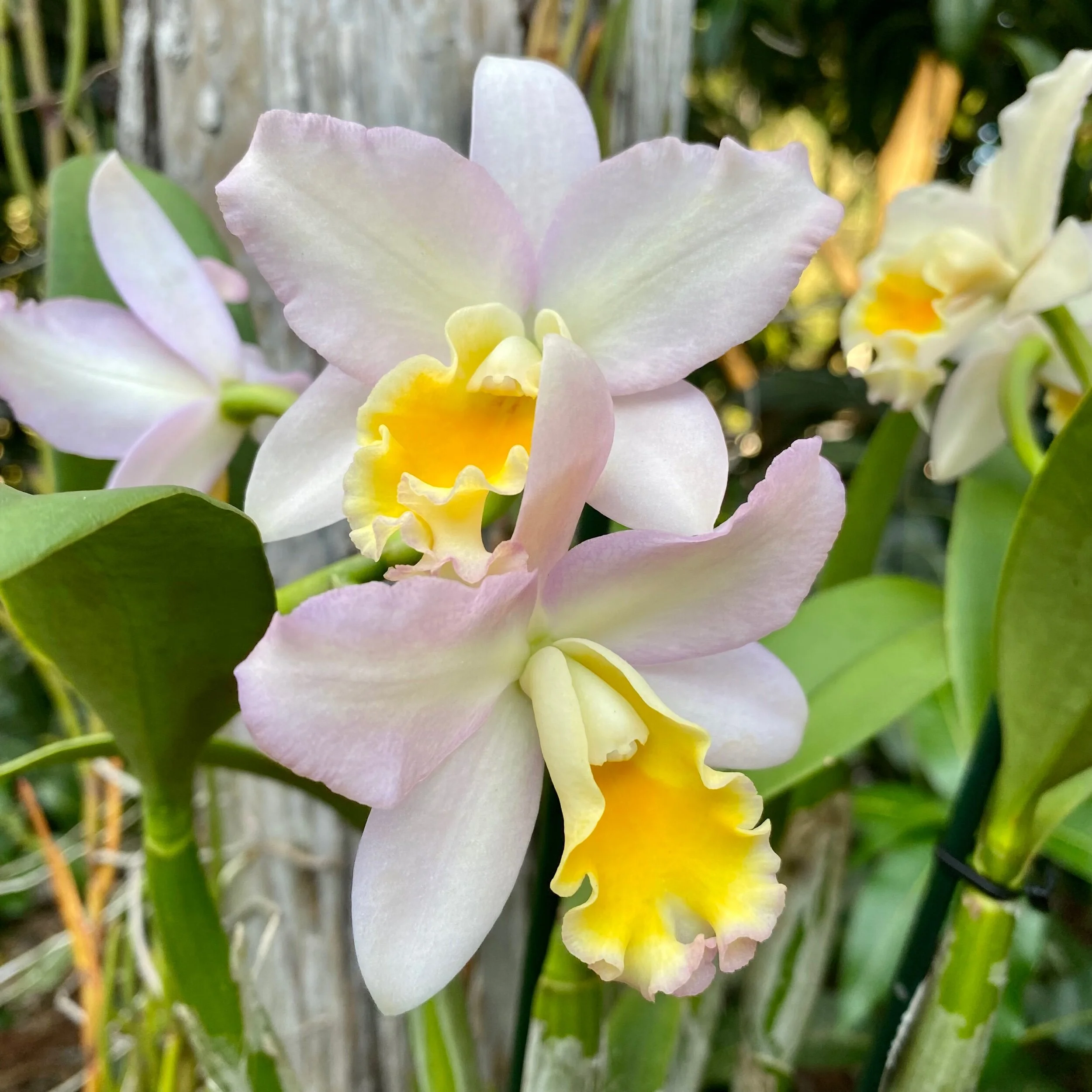 1DFBF8D7-DB90-4D48-8078-0E5E01481C7D