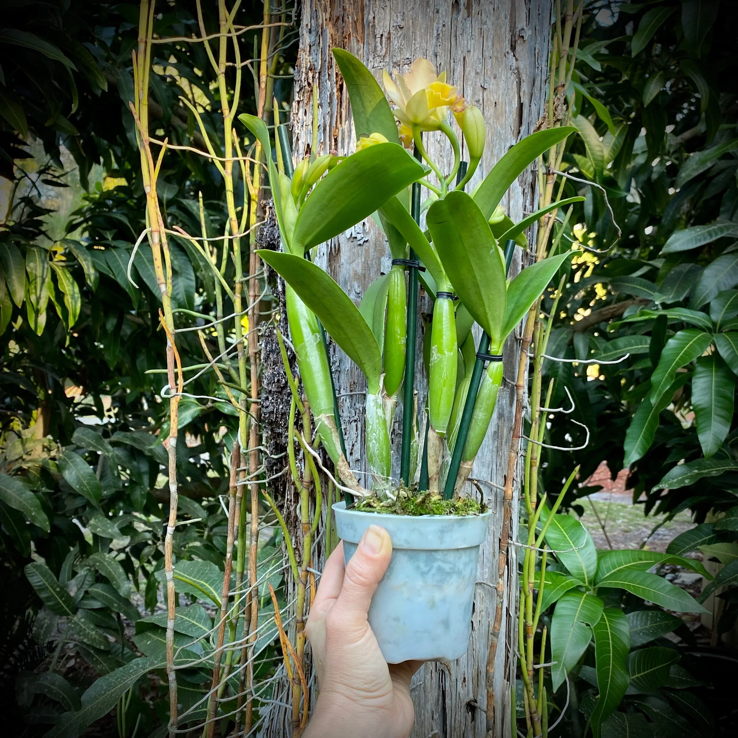 5D48BFA8-32B6-4528-8F82-EA4EC0BF8EE1