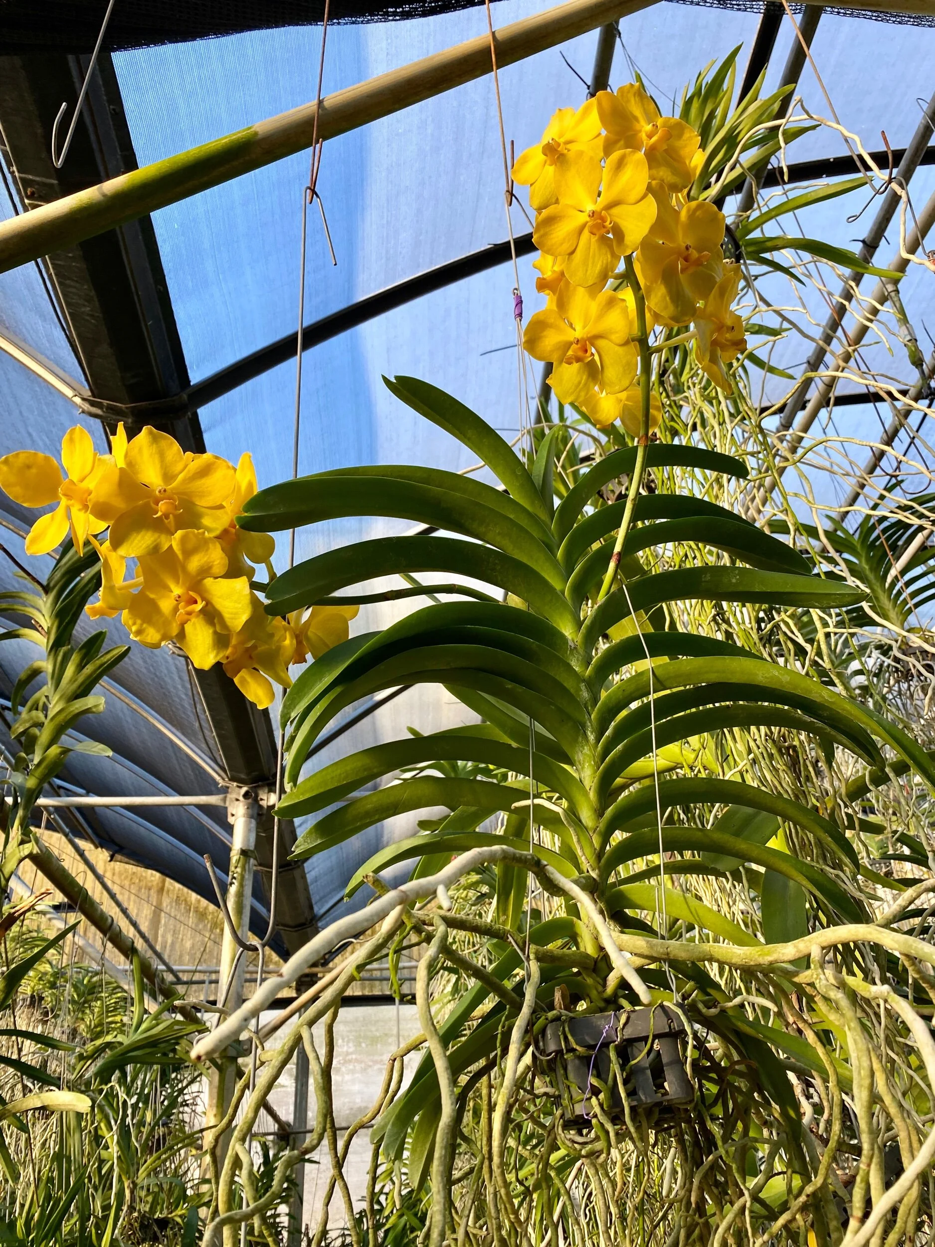 E4D24CB6-E9BA-4F7D-A9A3-369F5D881189