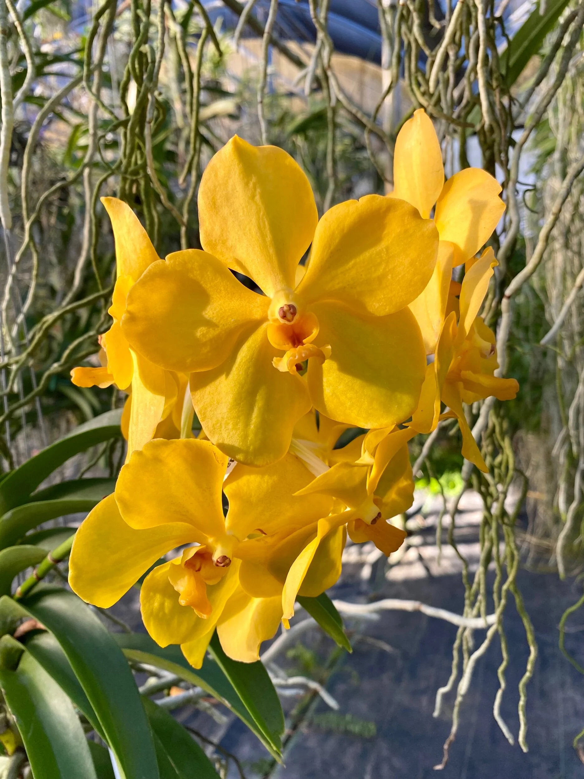 97B5D2CD-4D29-41F6-B38D-C236D57B1DFF