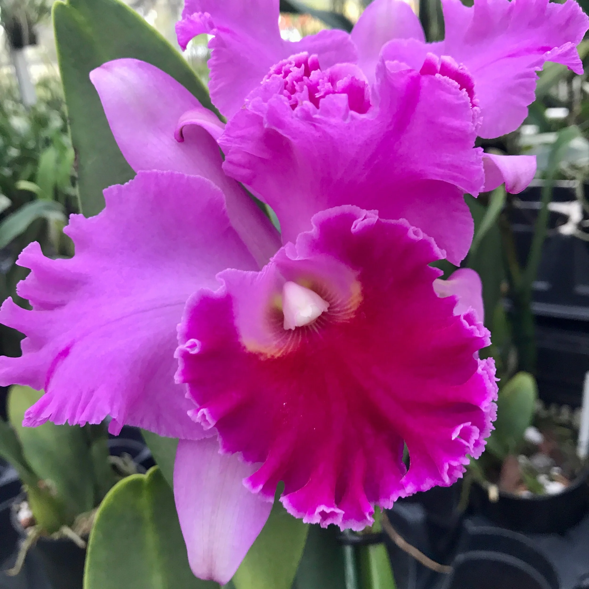 24BB035A-FBFC-4CBB-9F61-72B654485B80