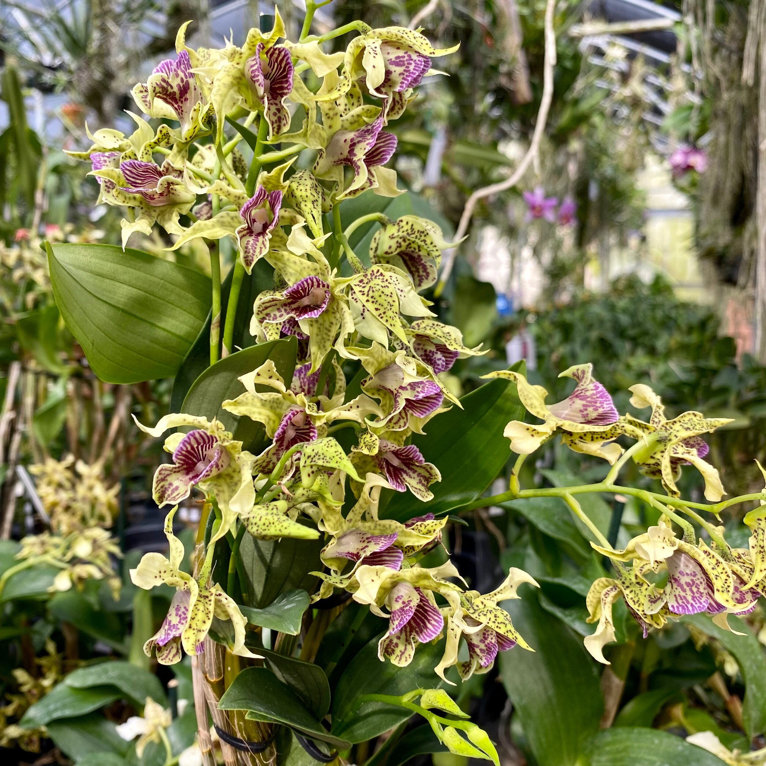 EB265EEC-9743-4EF7-BD04-8361A2C57619