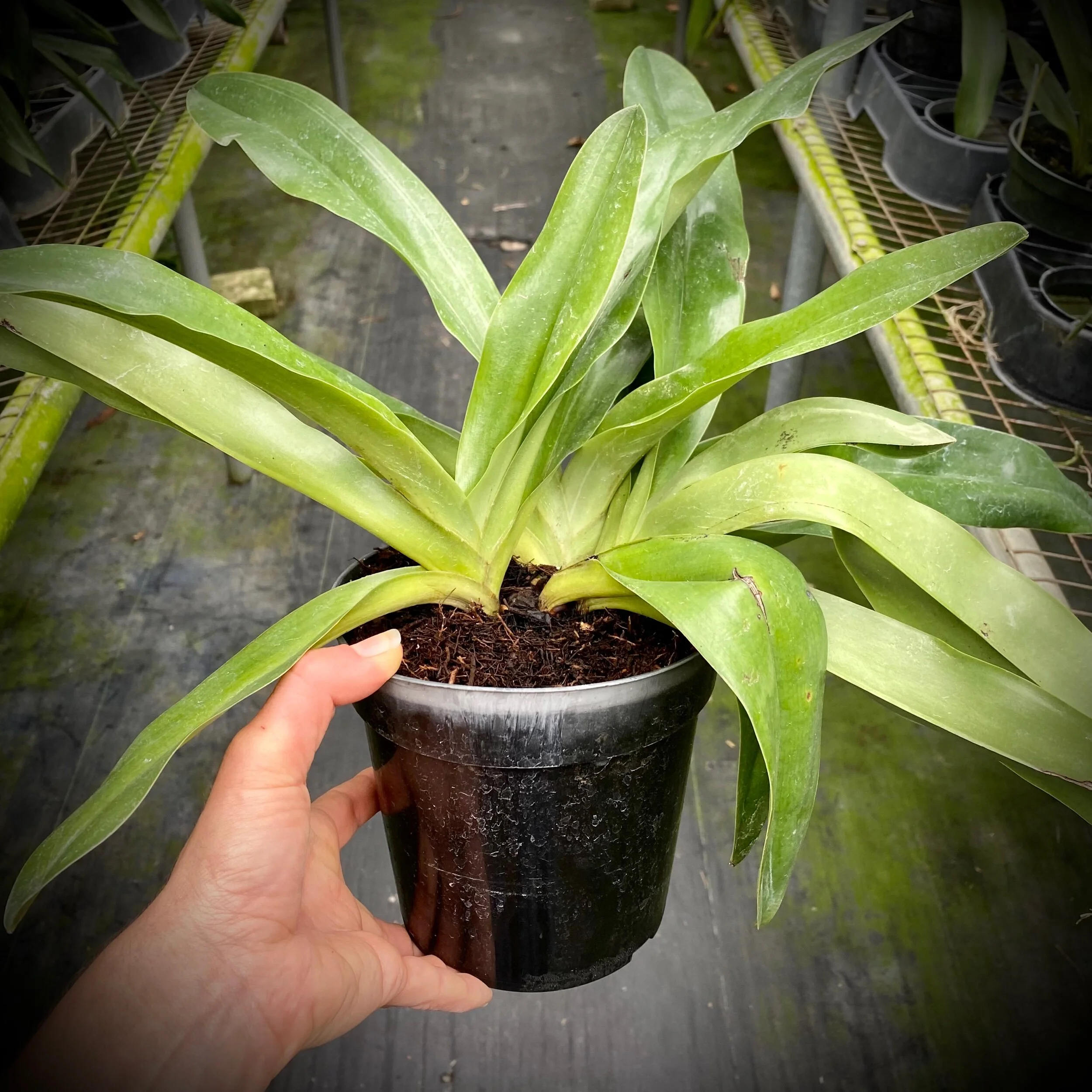 D708858D-38A9-4CF5-8048-DAA5B5C8027C