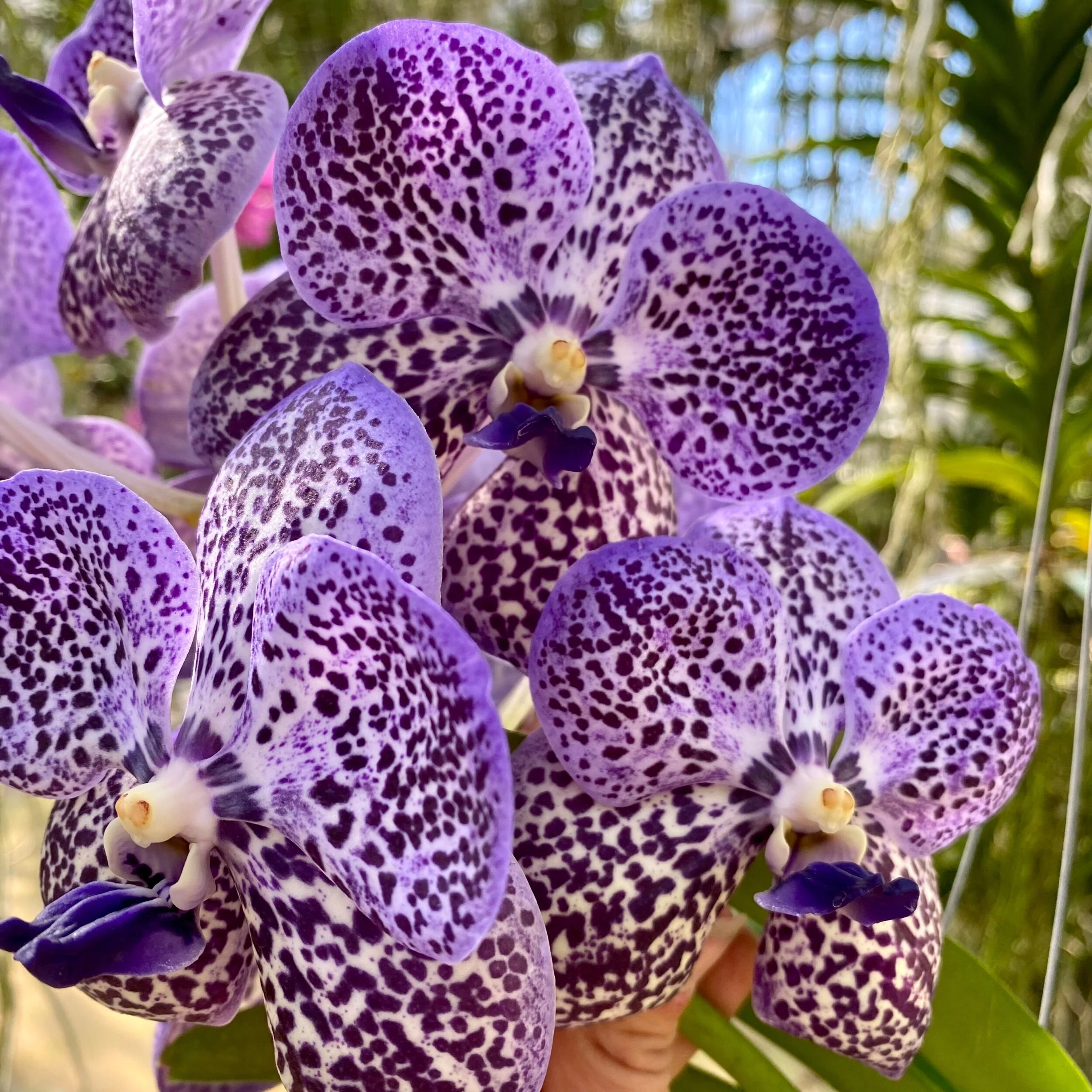 F9704F48-2AEF-4FE9-BE5B-71C991260AC2