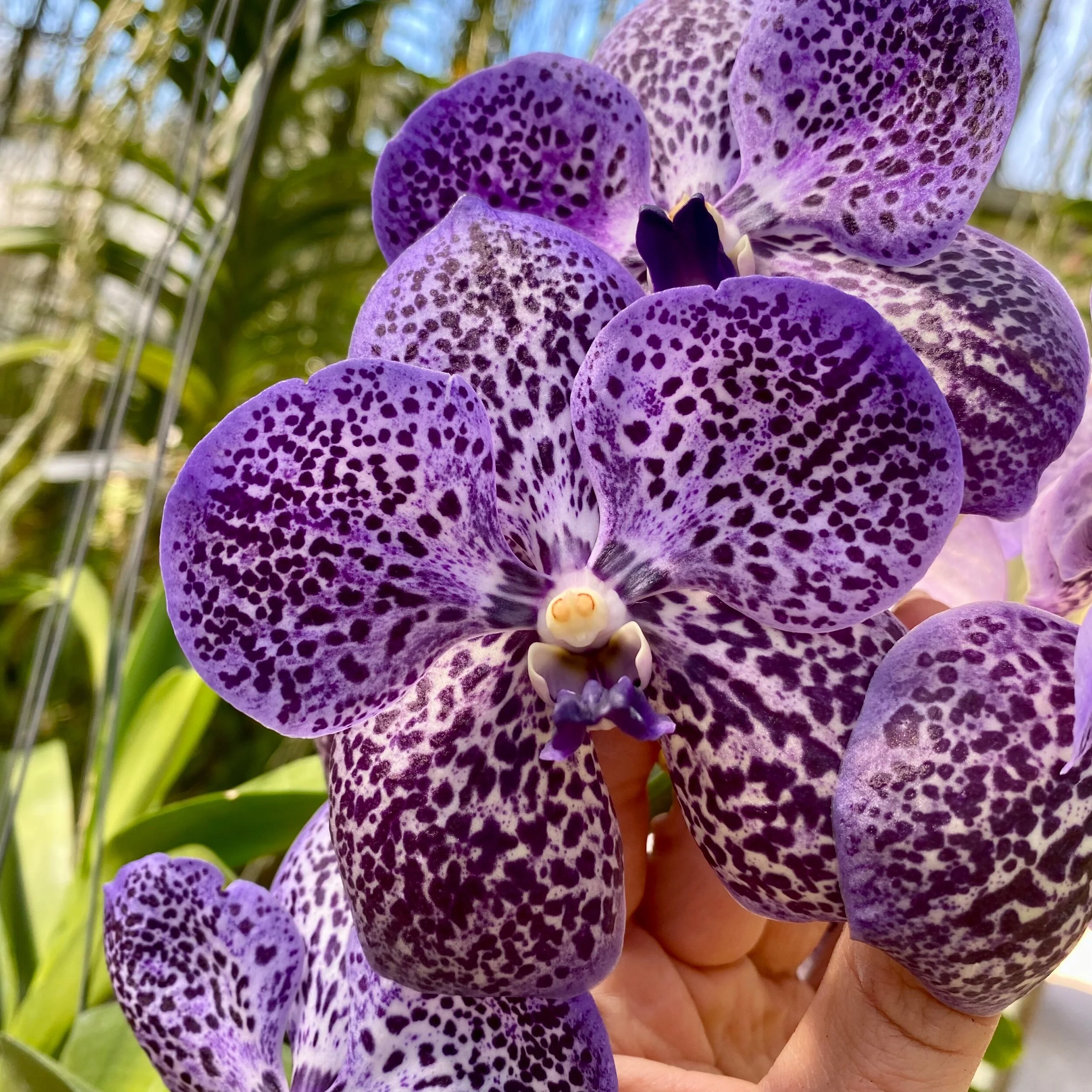 F806AE86-8E5D-4443-91C6-7BC8EE6A2C22