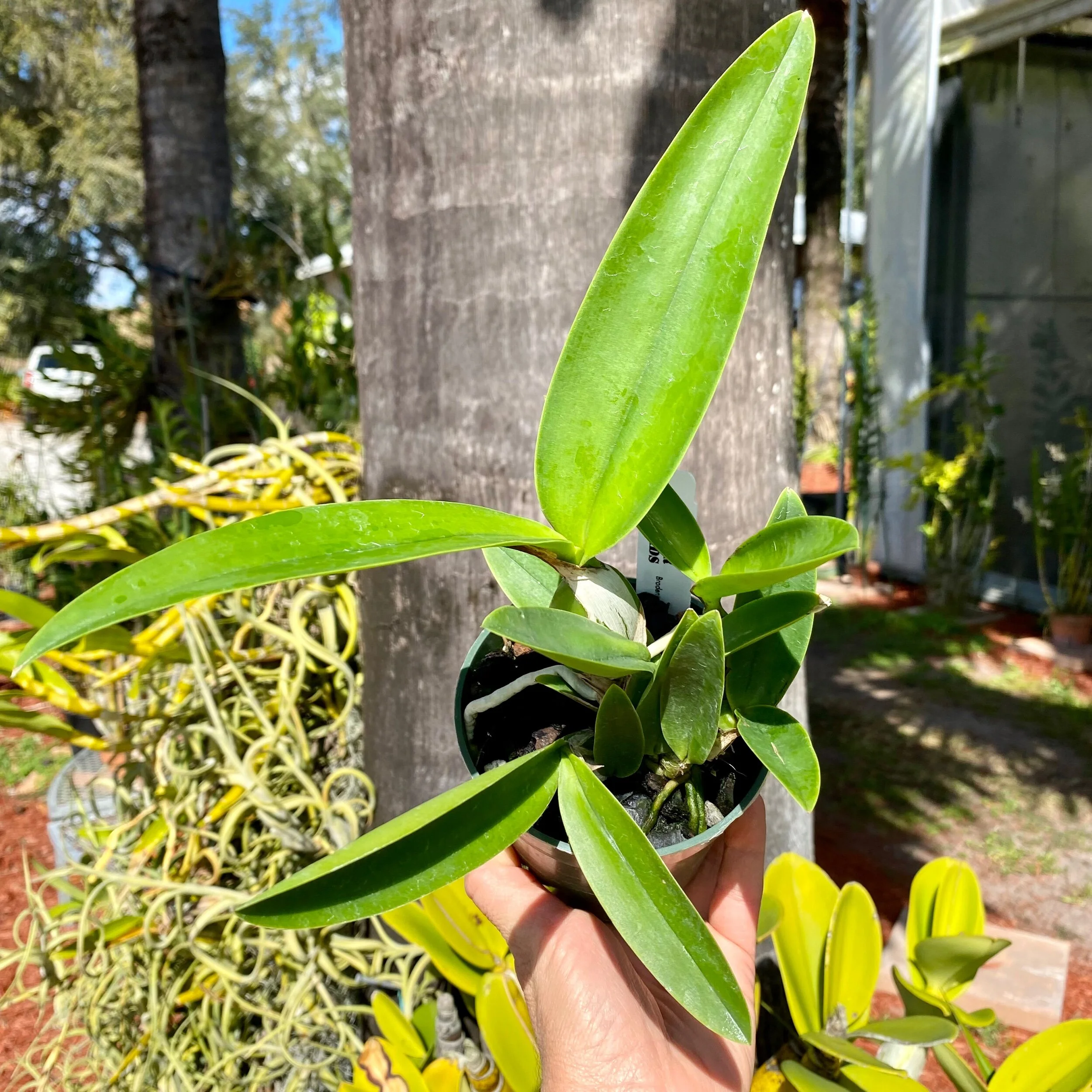 E798D8D5-13FC-4A6A-B422-3C9AF93C5389