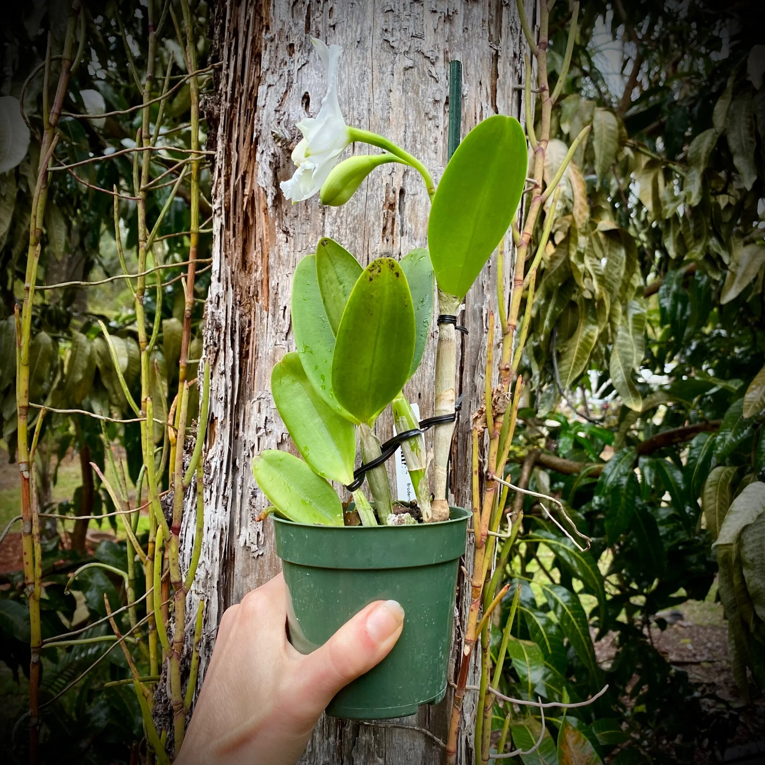 1D2BF699-AFA2-44D6-B5EE-76741B227884