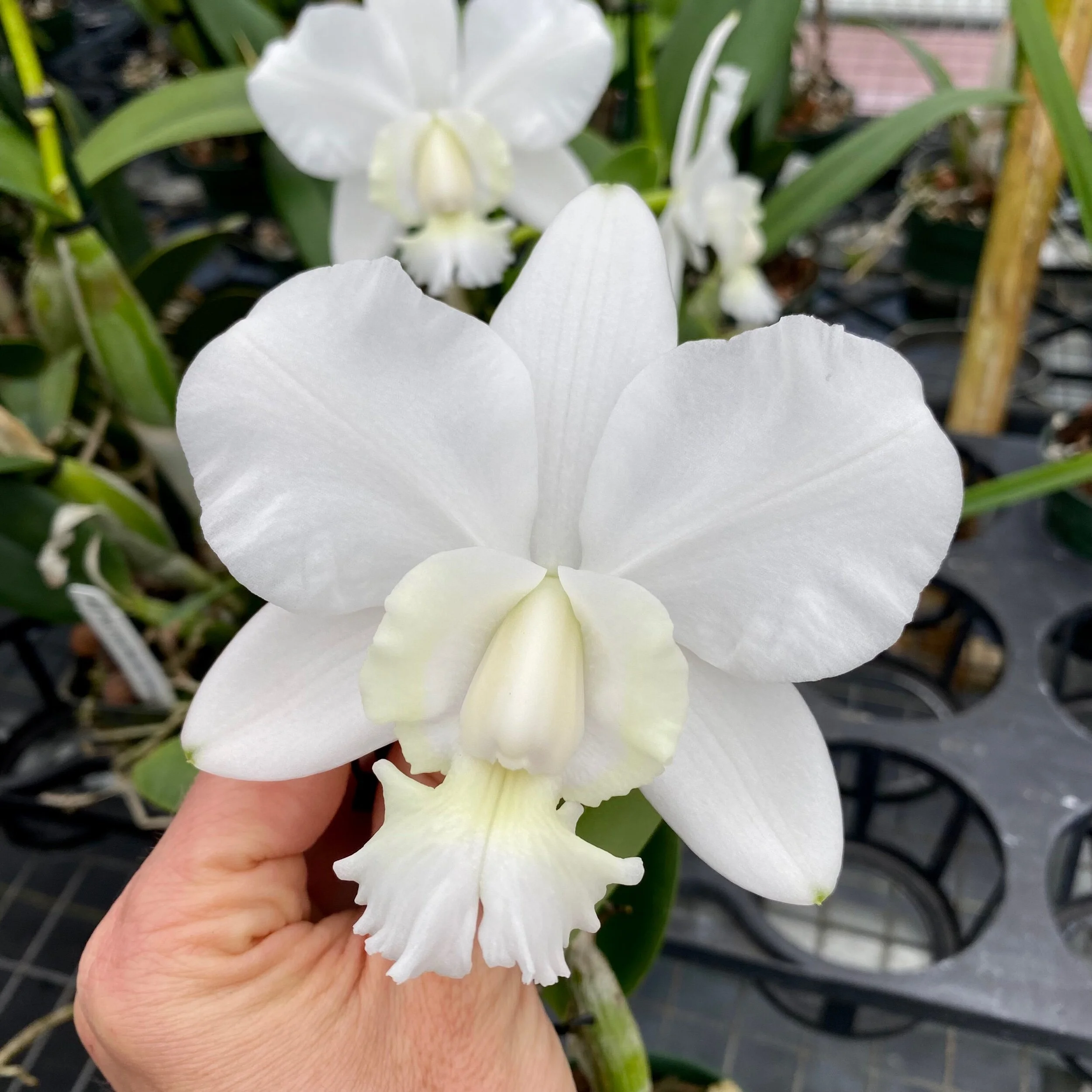 1382DC44-D572-40A4-AF80-5F3482FB4106