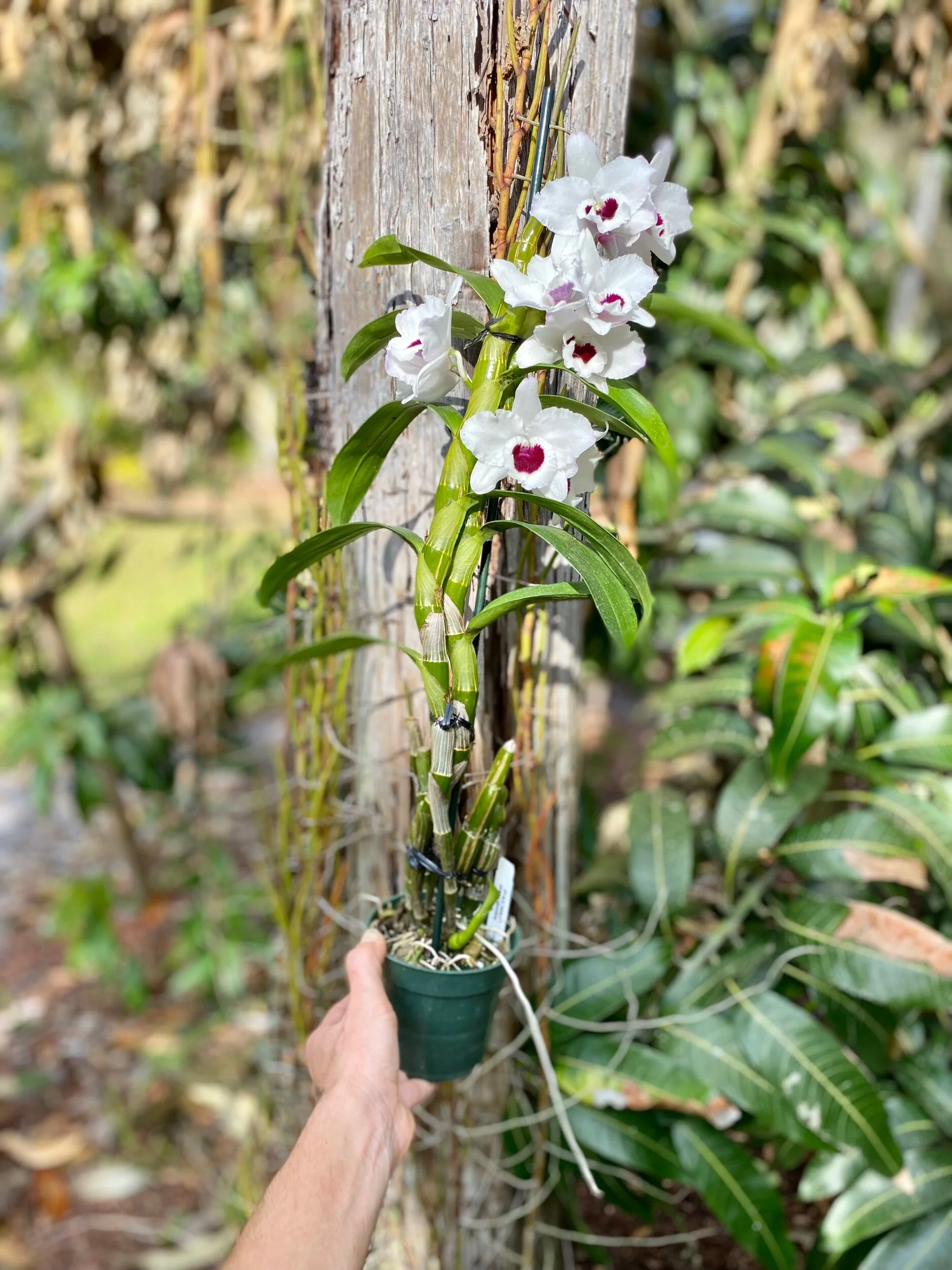 A6FFEA04-0AA3-49EB-A6E3-F00C004E5592