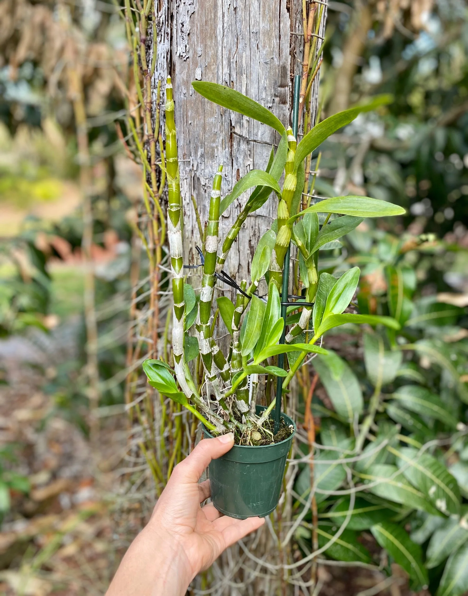 D60915A2-4756-4180-9040-8BA985852BCD