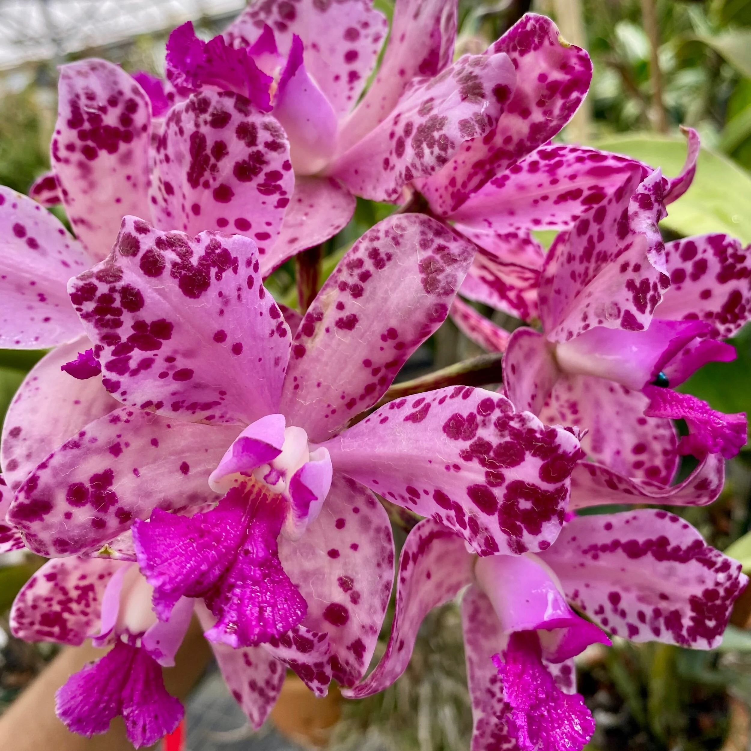 2A86DBC5-5E75-41C2-B12A-099A4B502DB8