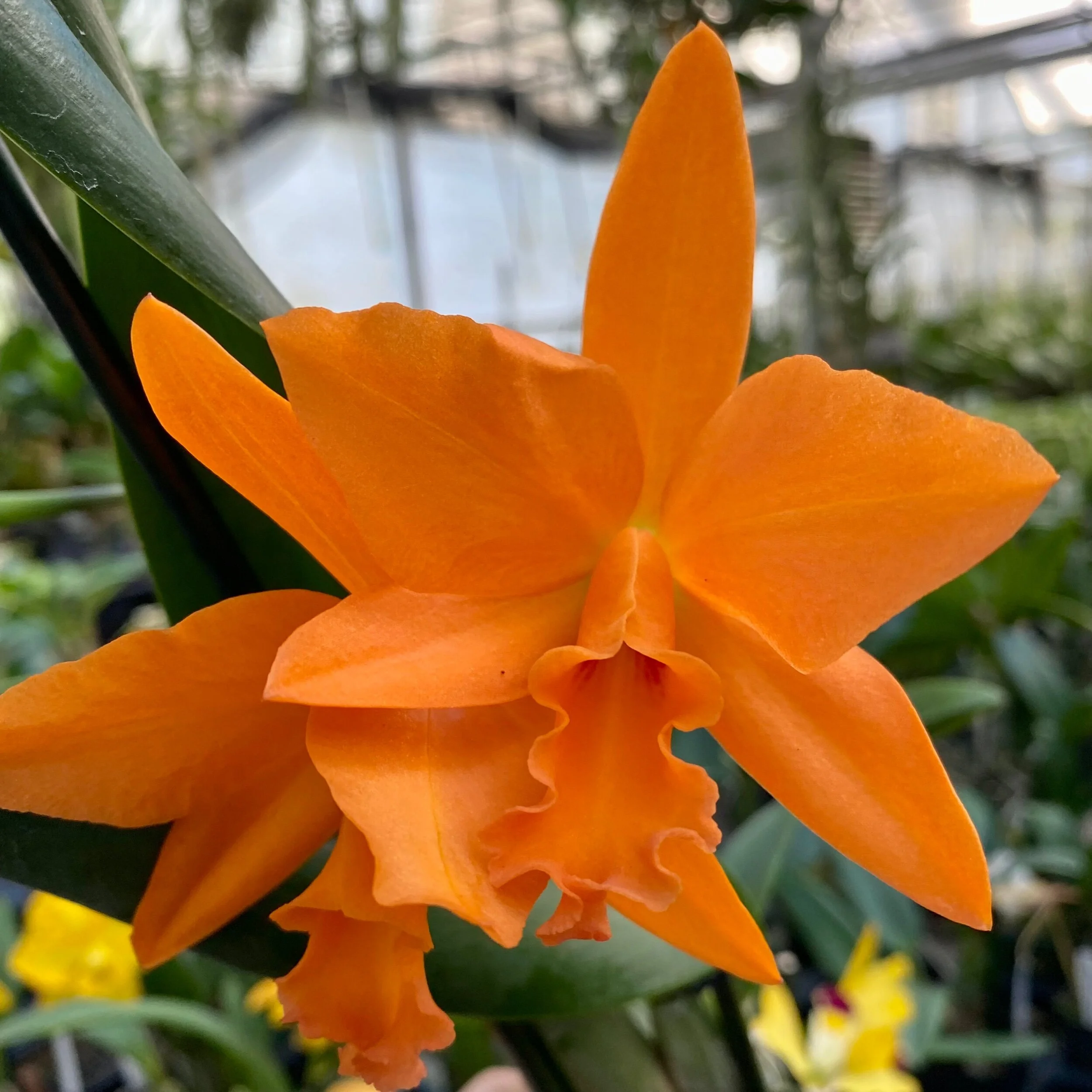 5159A1D0-2A7B-41E6-BE2C-77A2025CA3C2