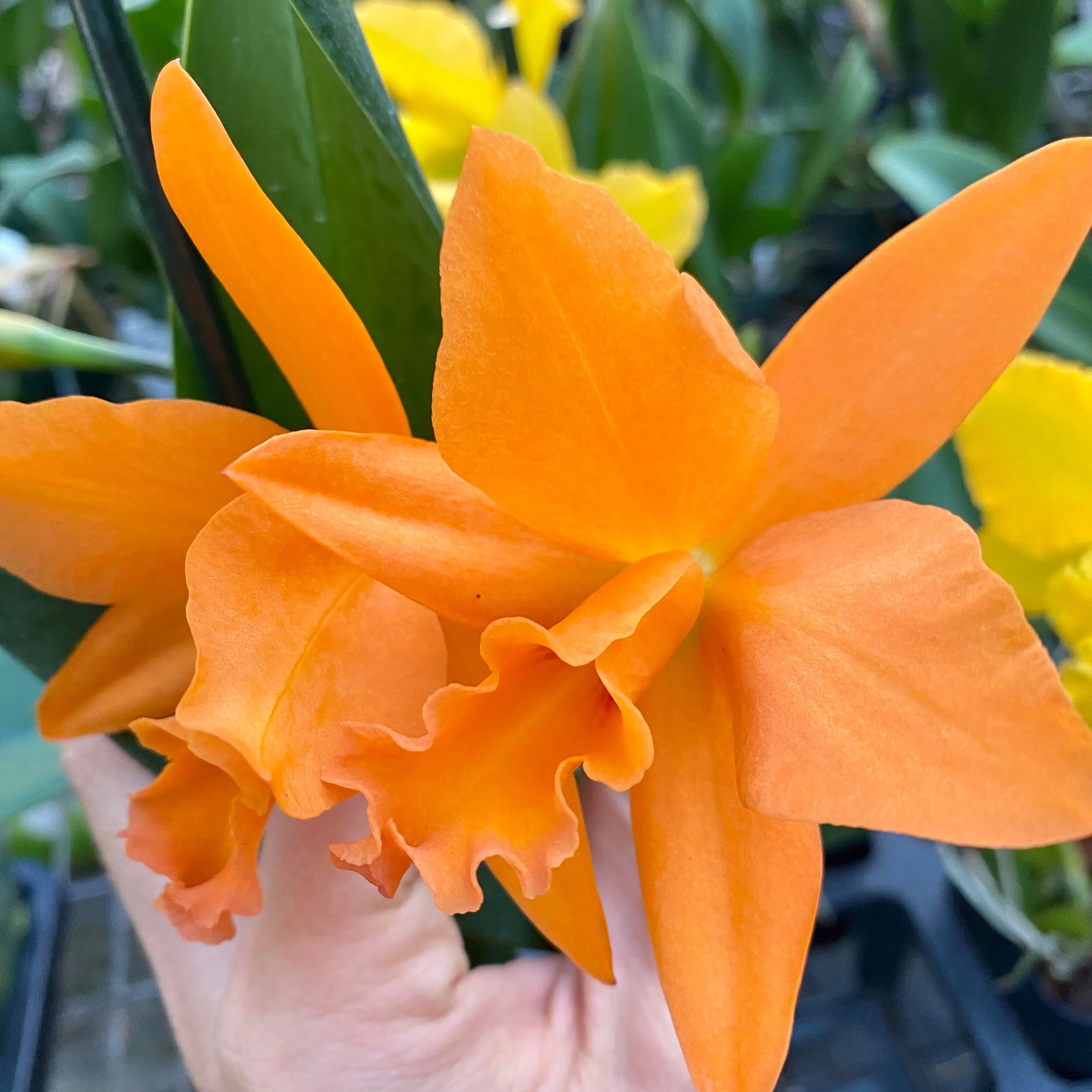 0EB97DA7-39CF-4EEA-8737-FDF50029755D