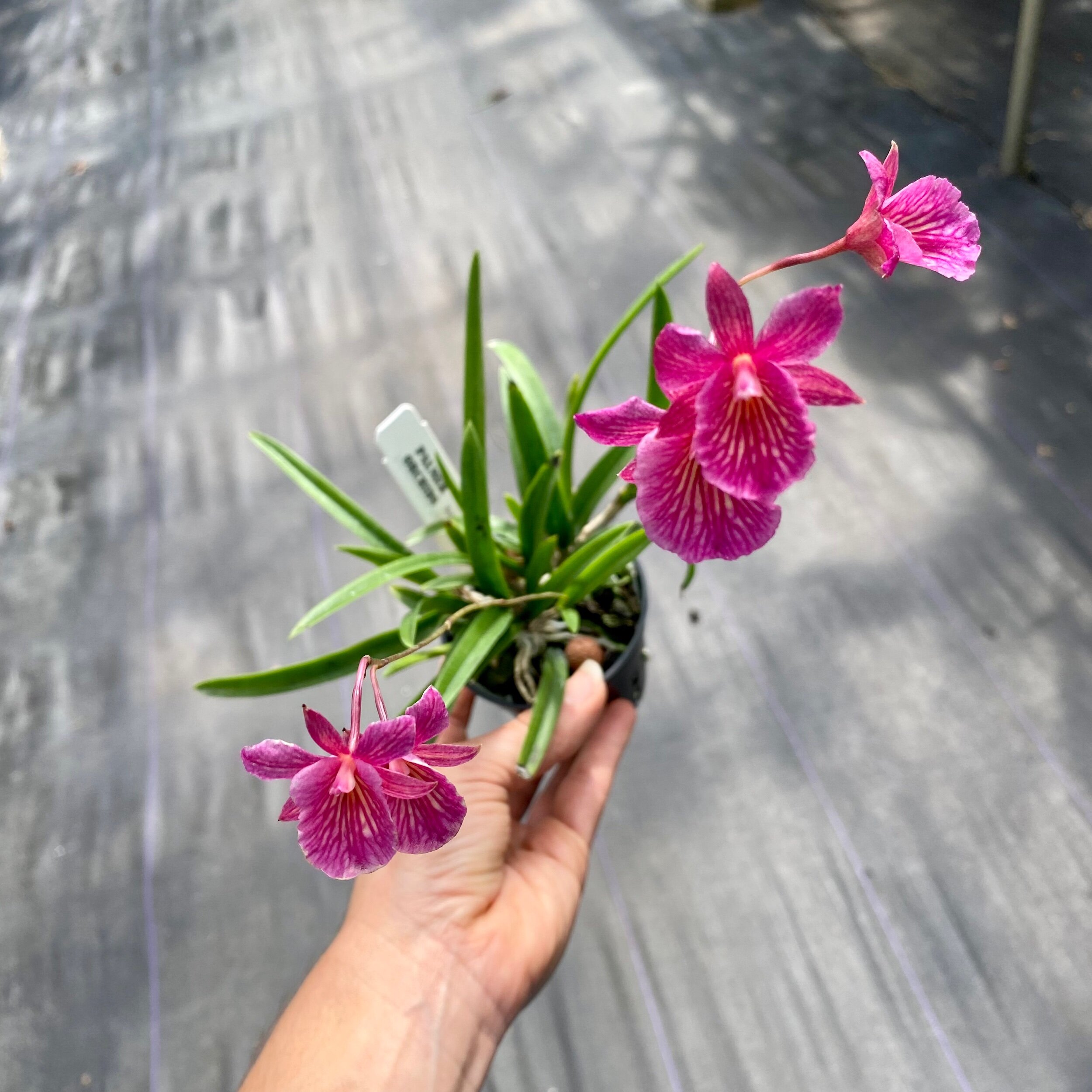 837F05F2-66C4-4D3A-A1E7-7D079EAFF24A