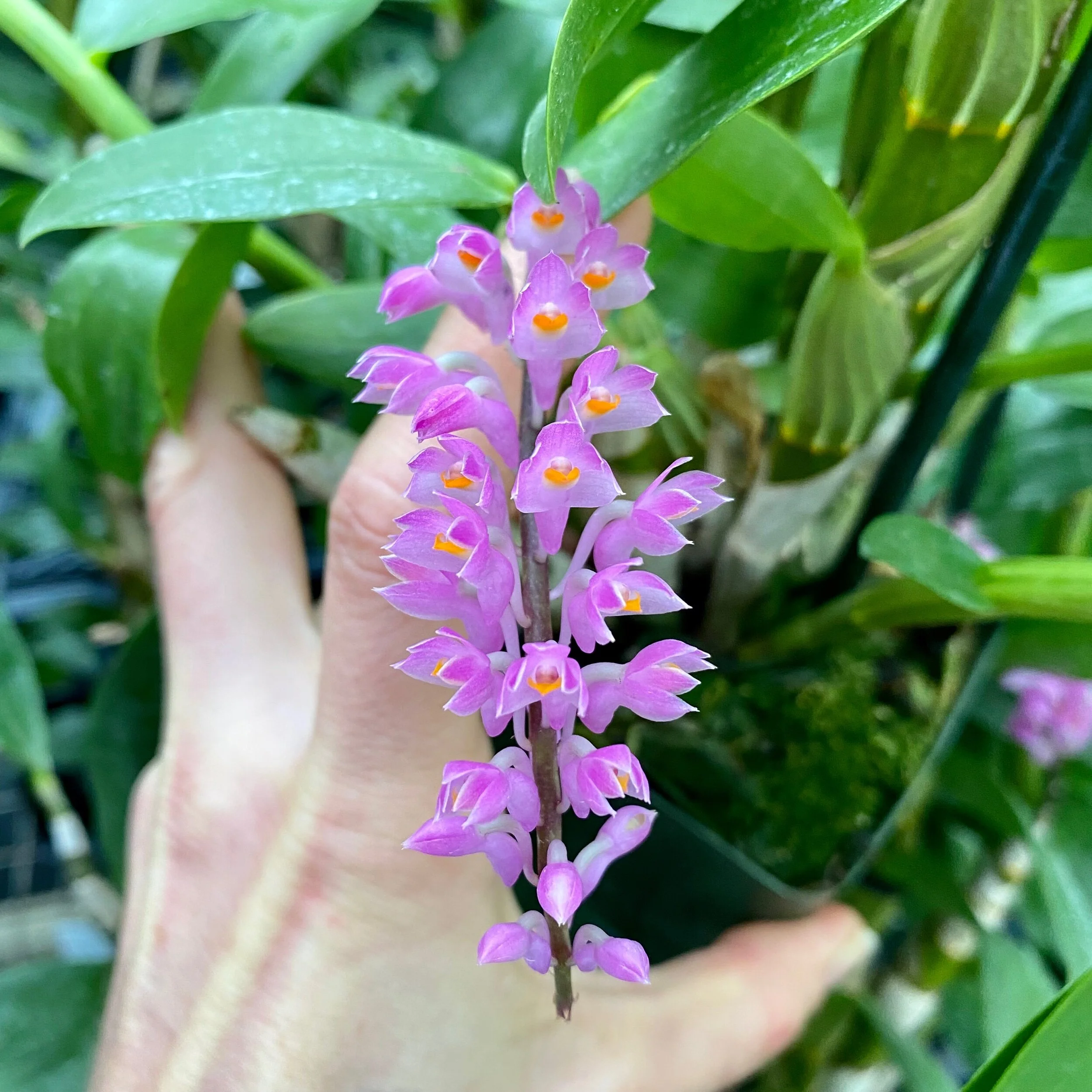 0B2AB3C9-343A-4FF5-9EB0-3DA4F953637F