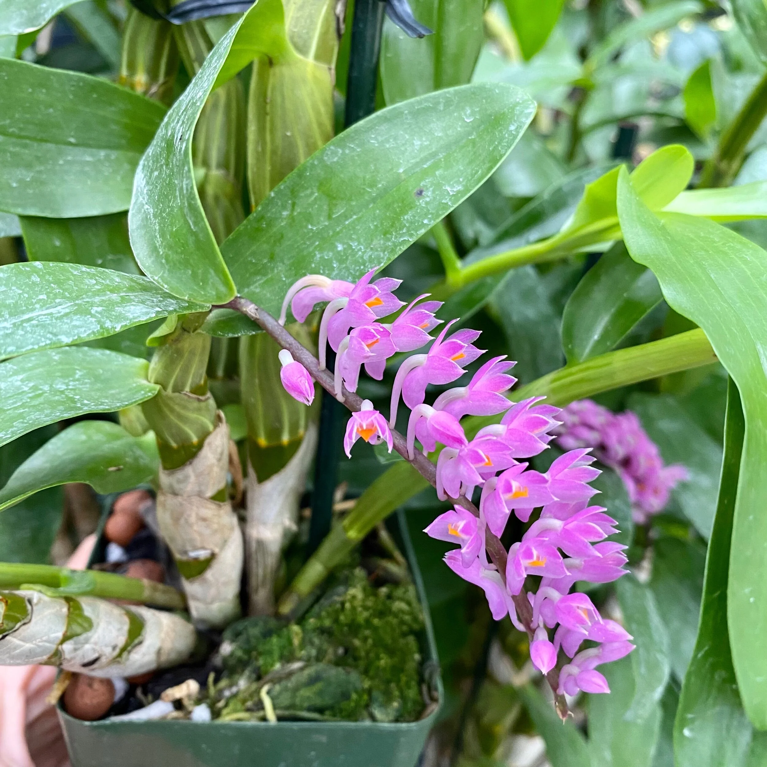 41D9B91C-DEC6-4008-BFDB-15681CF05A04