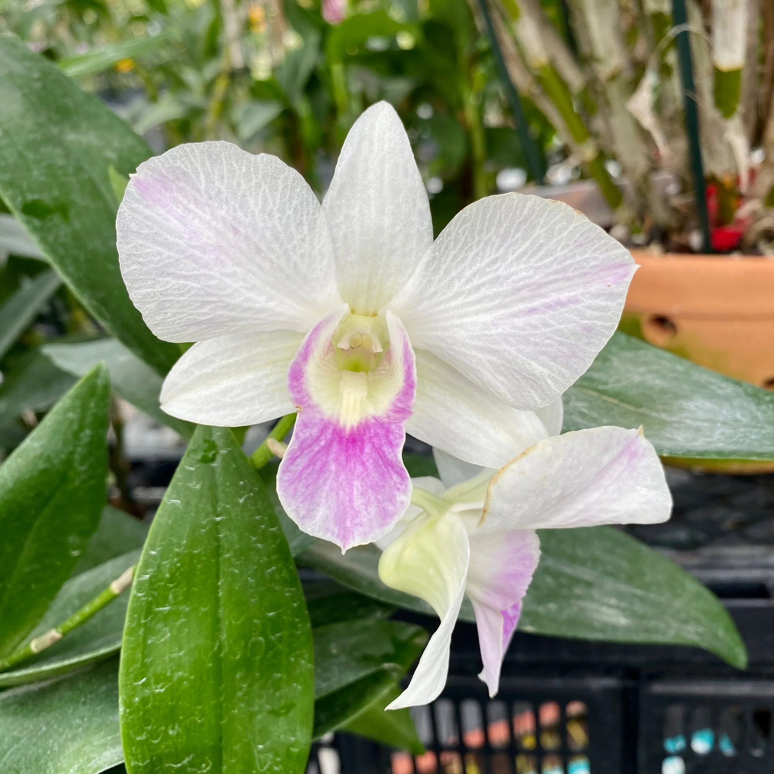 1F8C7E43-0506-4179-83EF-3FFD52496DDD