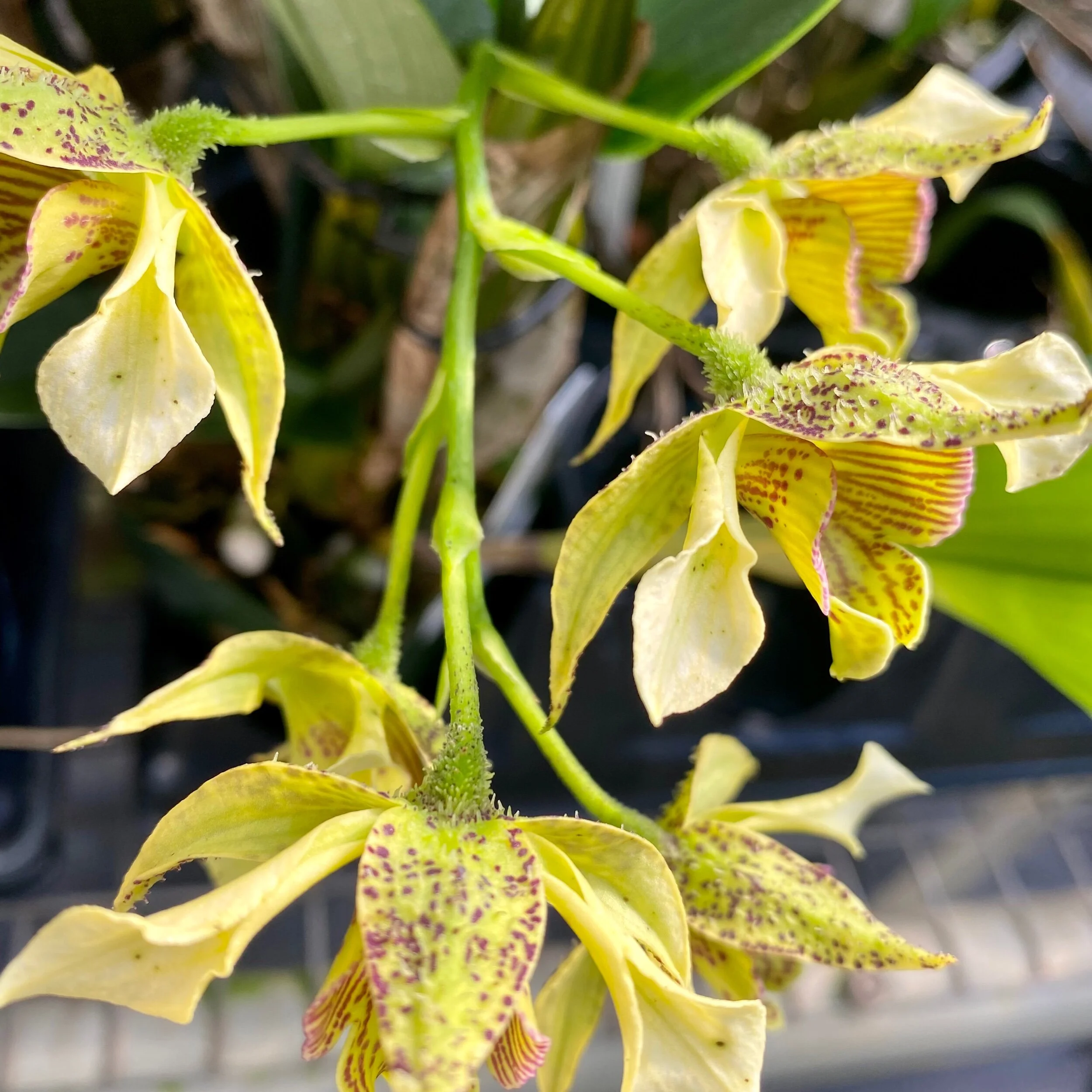 9BD2A6A6-8467-40D3-8272-B266FCAF57C0