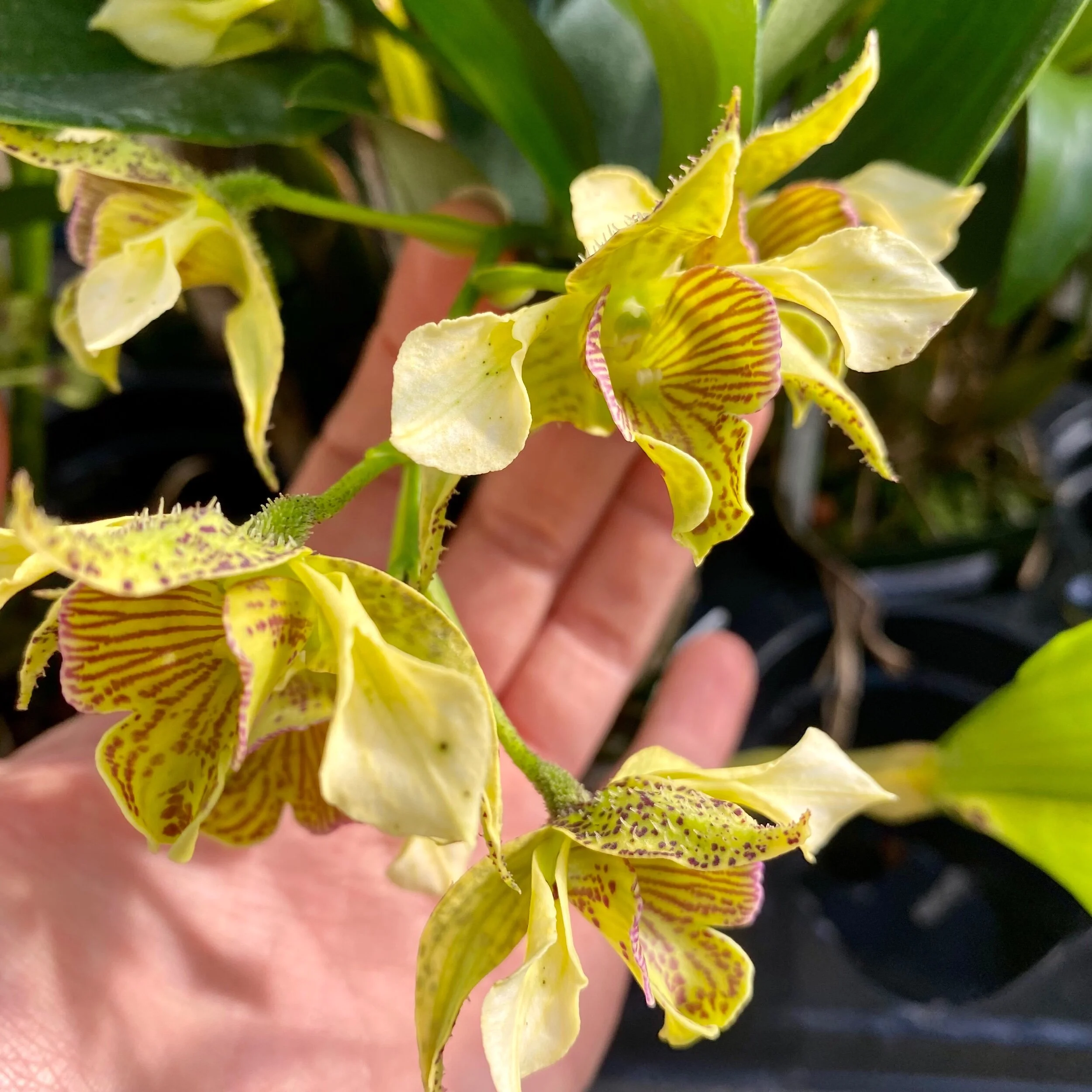 06394414-424C-489C-925F-474B7F05BD42