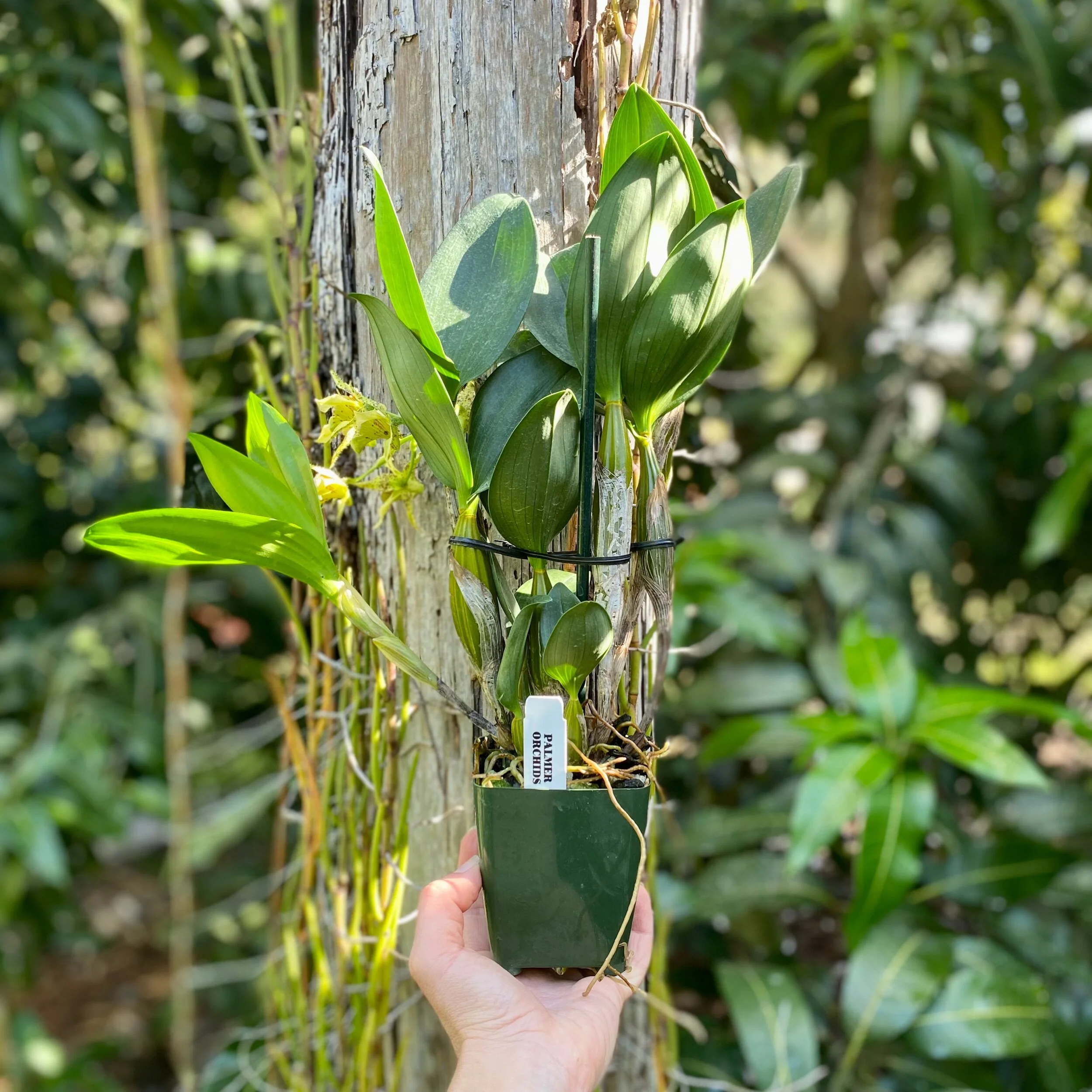 D7A52F87-DBFC-429D-812B-A88C95F01670