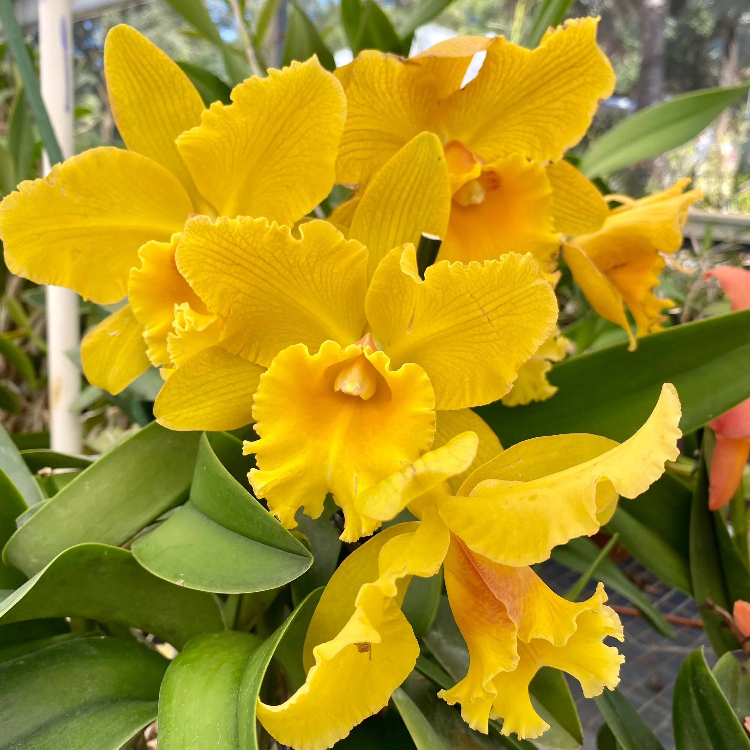 08714774-1E44-4899-9BA1-70172011B2AB